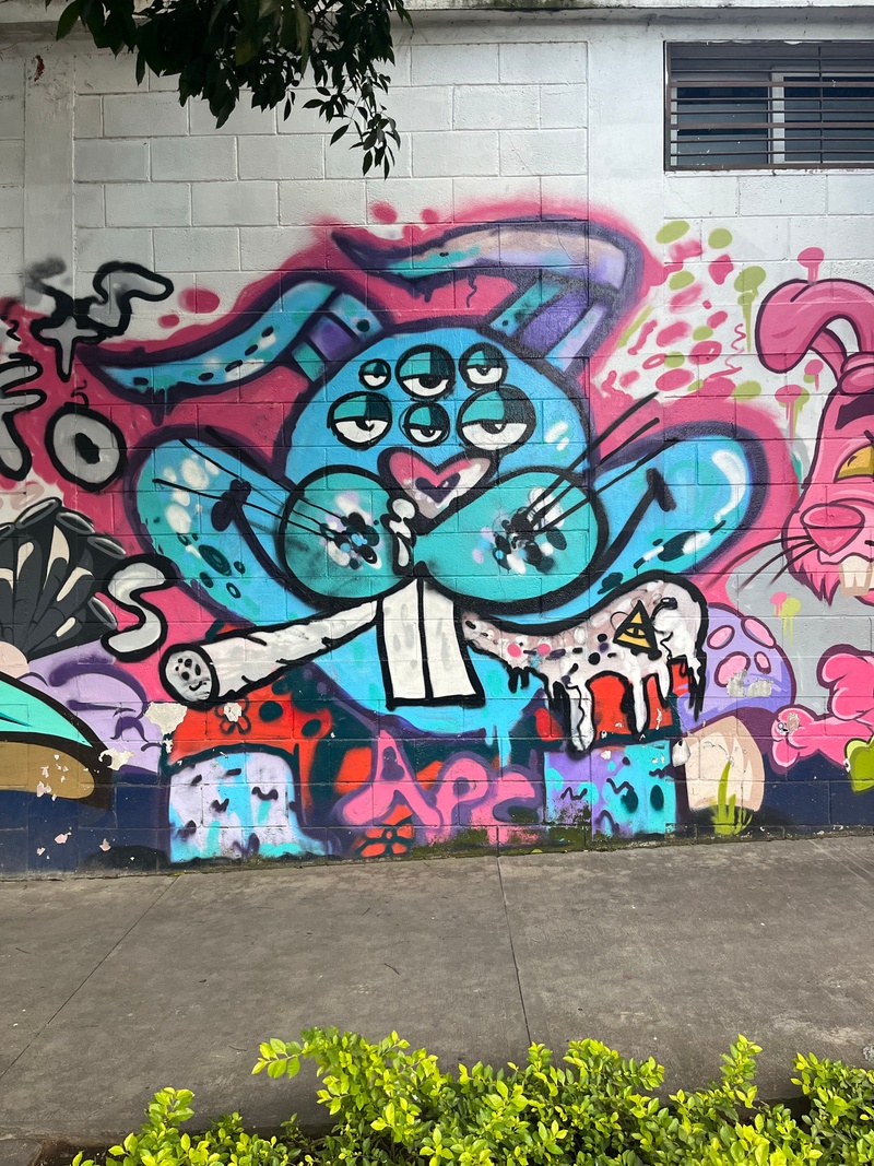 mural in Ciudad de Guatemala by artist unknown.