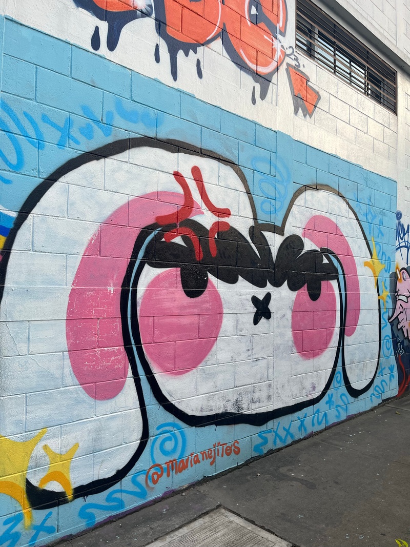 mural in Ciudad de Guatemala by artist MarÃa Ñejitos.