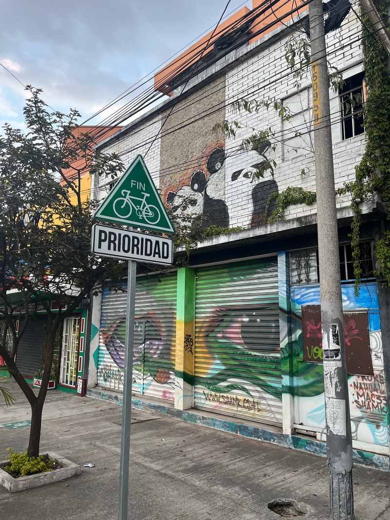 mural in Guatemala City by artist unknown.