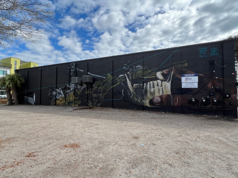 mural in St. Petersburg by artist Bakpak Durden.