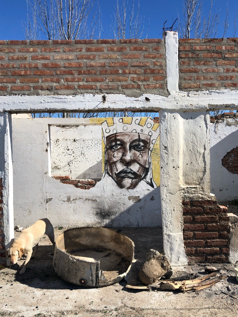mural in Neuquen by artist unknown.