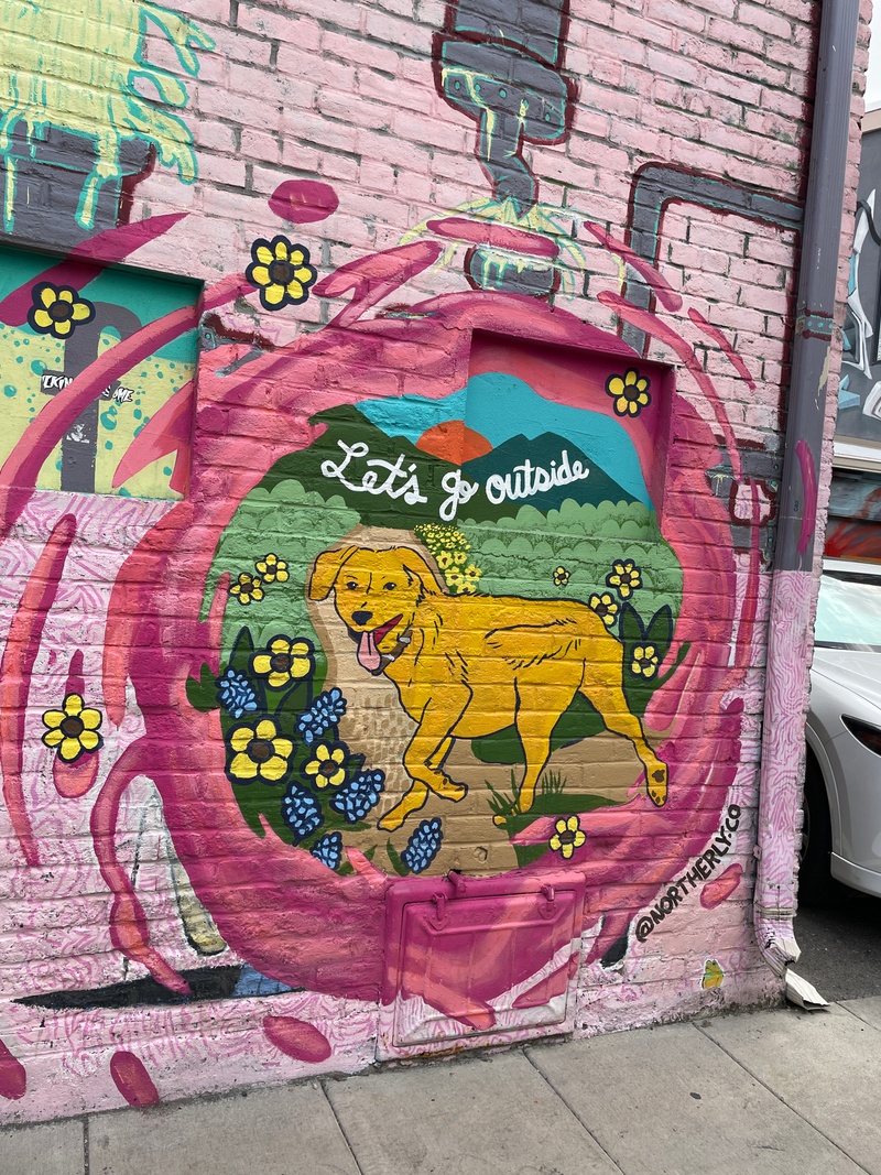 mural in Boise by artist unknown.