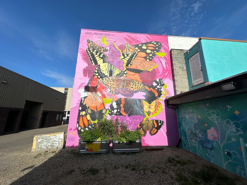 mural in Red Deer by artist unknown.