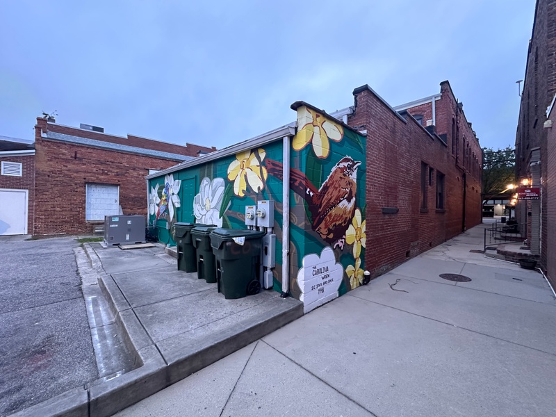 mural in Conway by artist unknown.