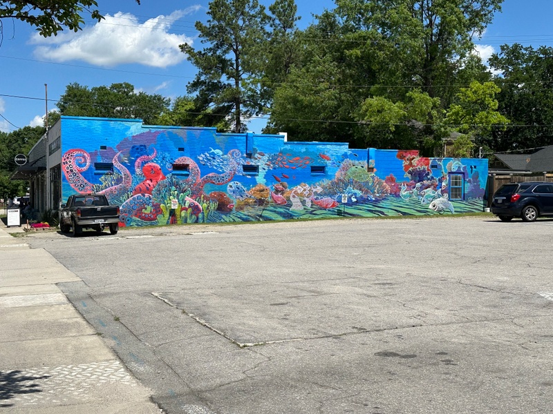 mural in Cayce by artist unknown.