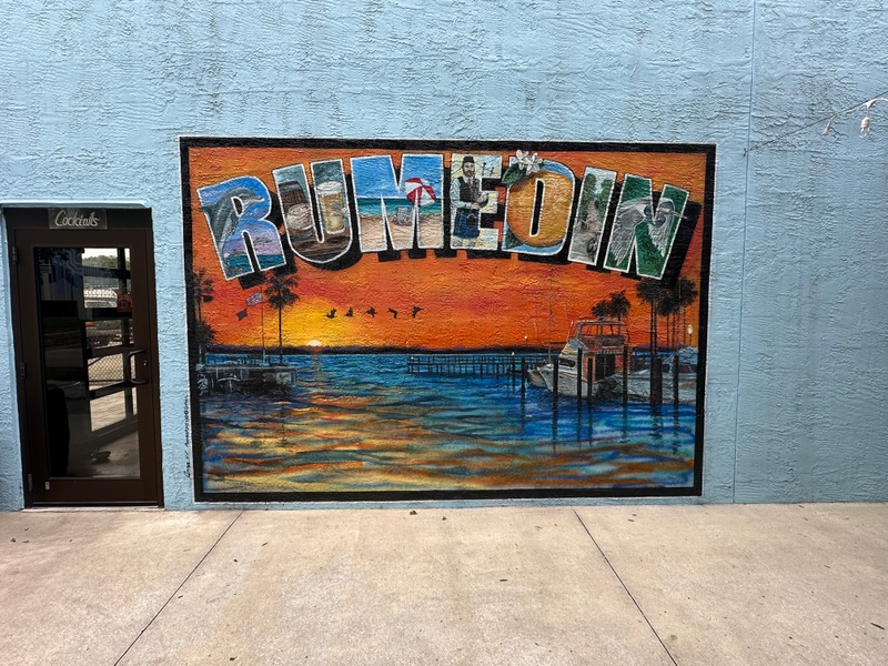 mural in Dunedin by artist unknown.