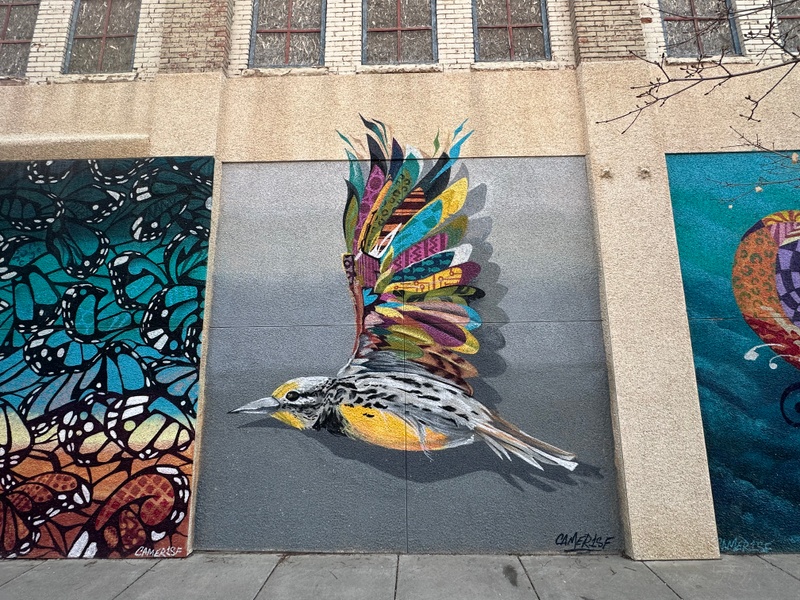 mural in Great Falls by artist Camer1.