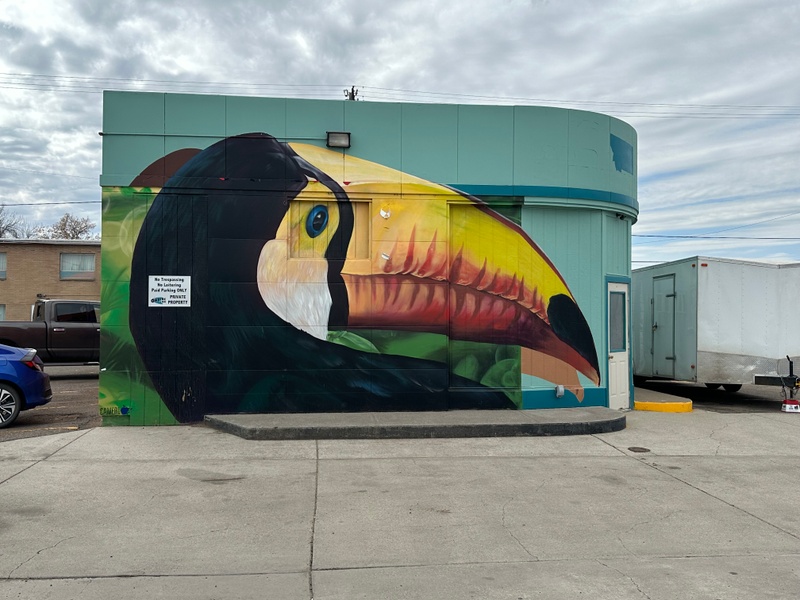 mural in Great Falls by artist Camer1.