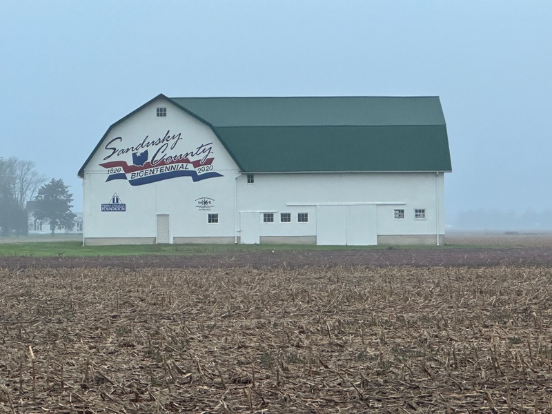 mural in Fremont by artist unknown.