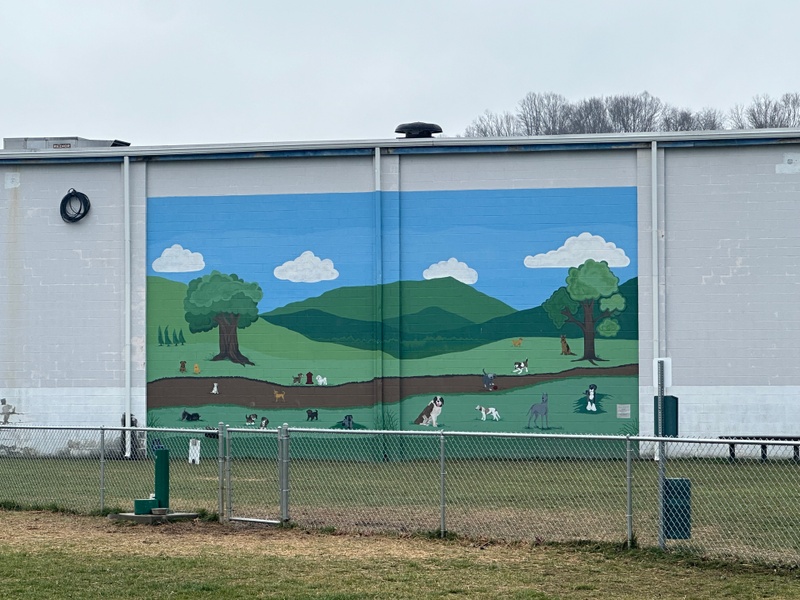 mural in Princeton by artist unknown.