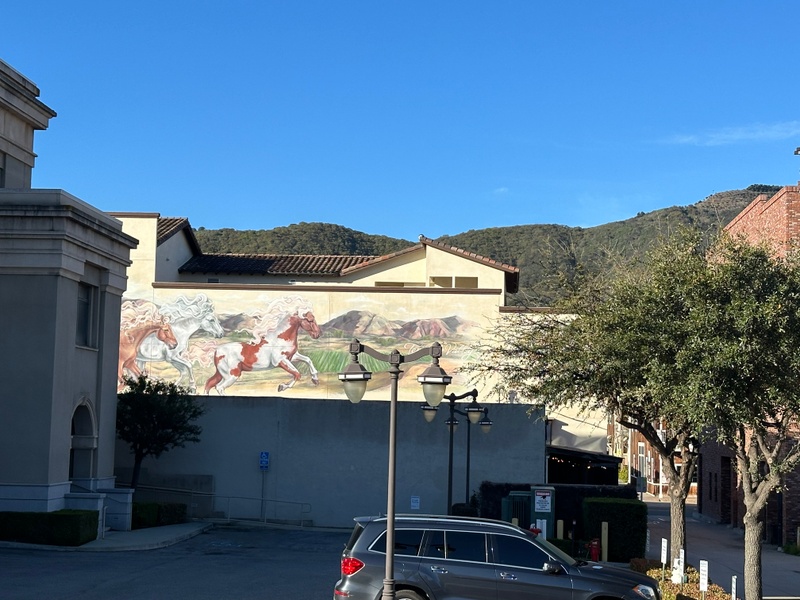 mural in Temecula by artist unknown.