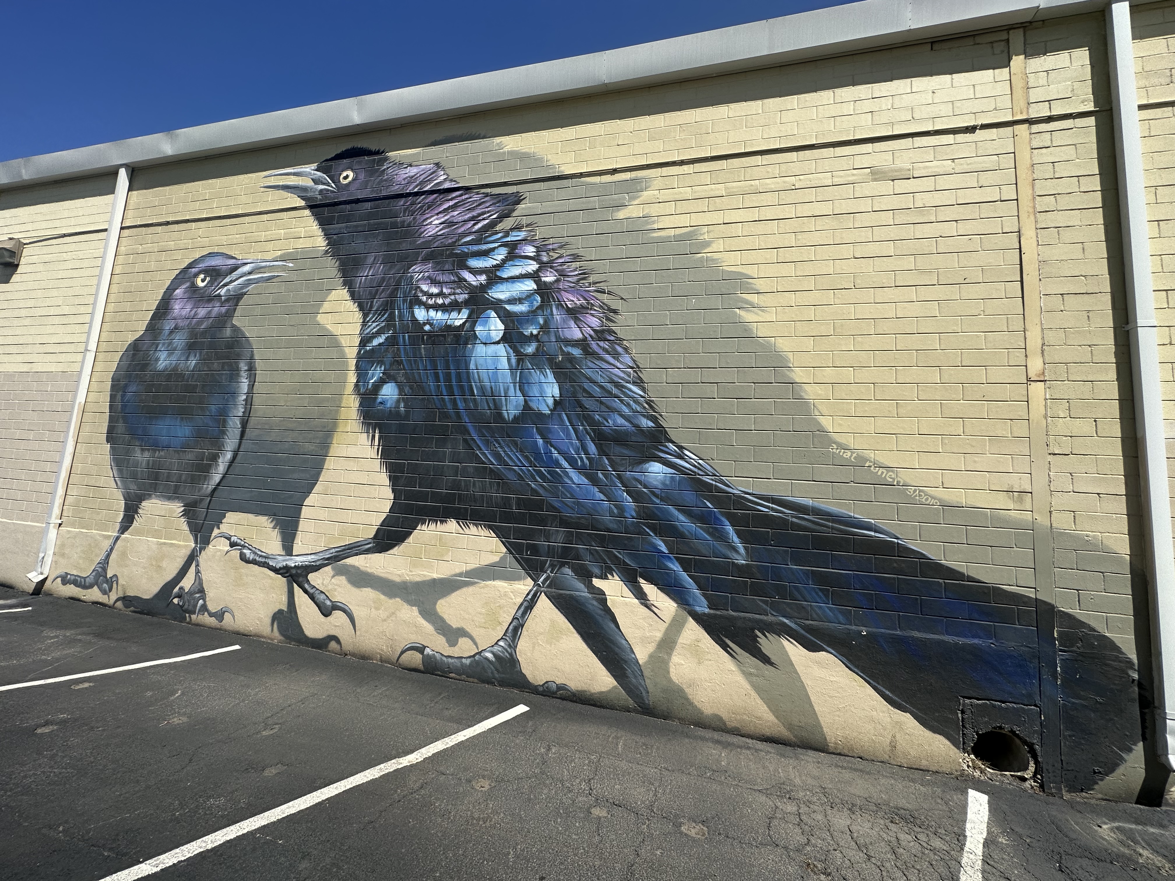 mural in San Antonio by artist Anat Ronen.