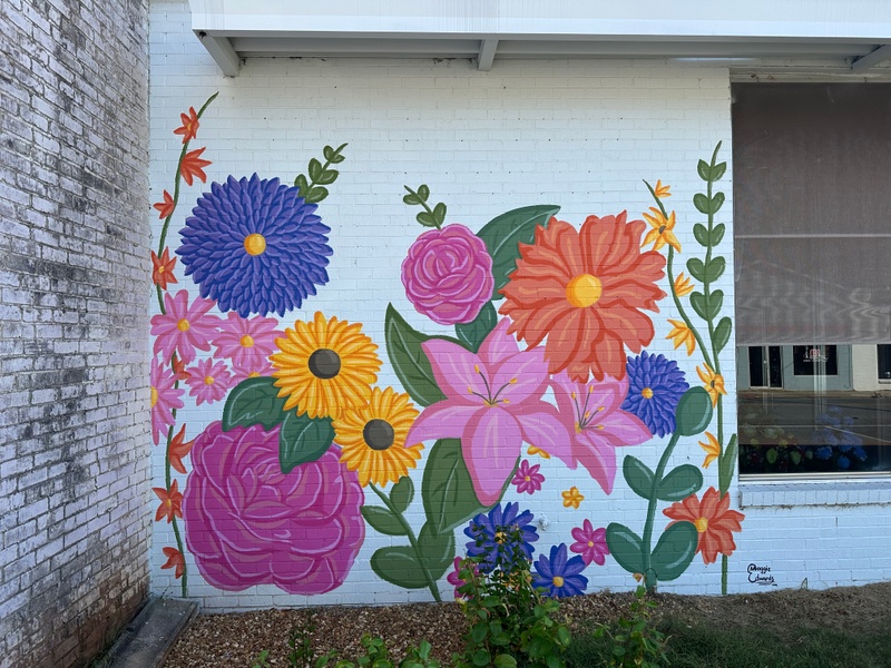 mural in Leighton by artist unknown.