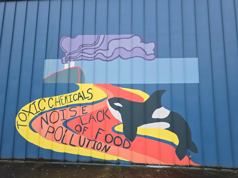 mural in Bellingham by artist unknown.