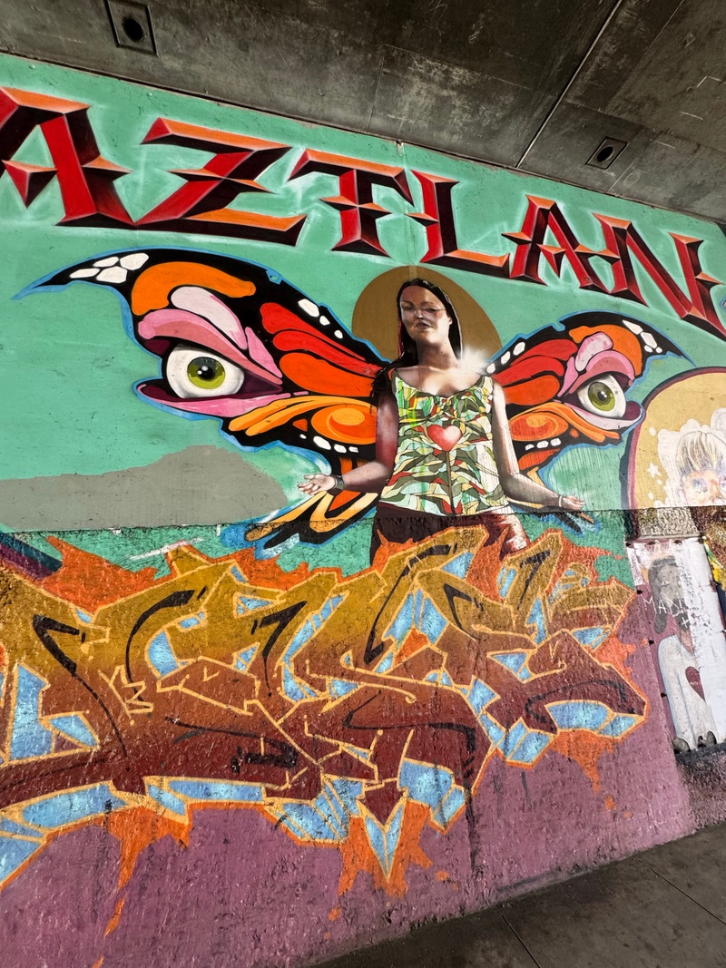 mural in San Diego by artist unknown.