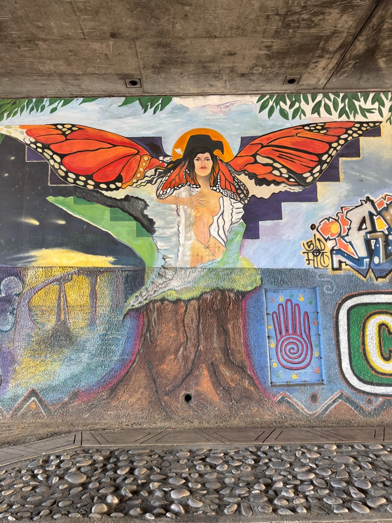 mural in San Diego by artist unknown.