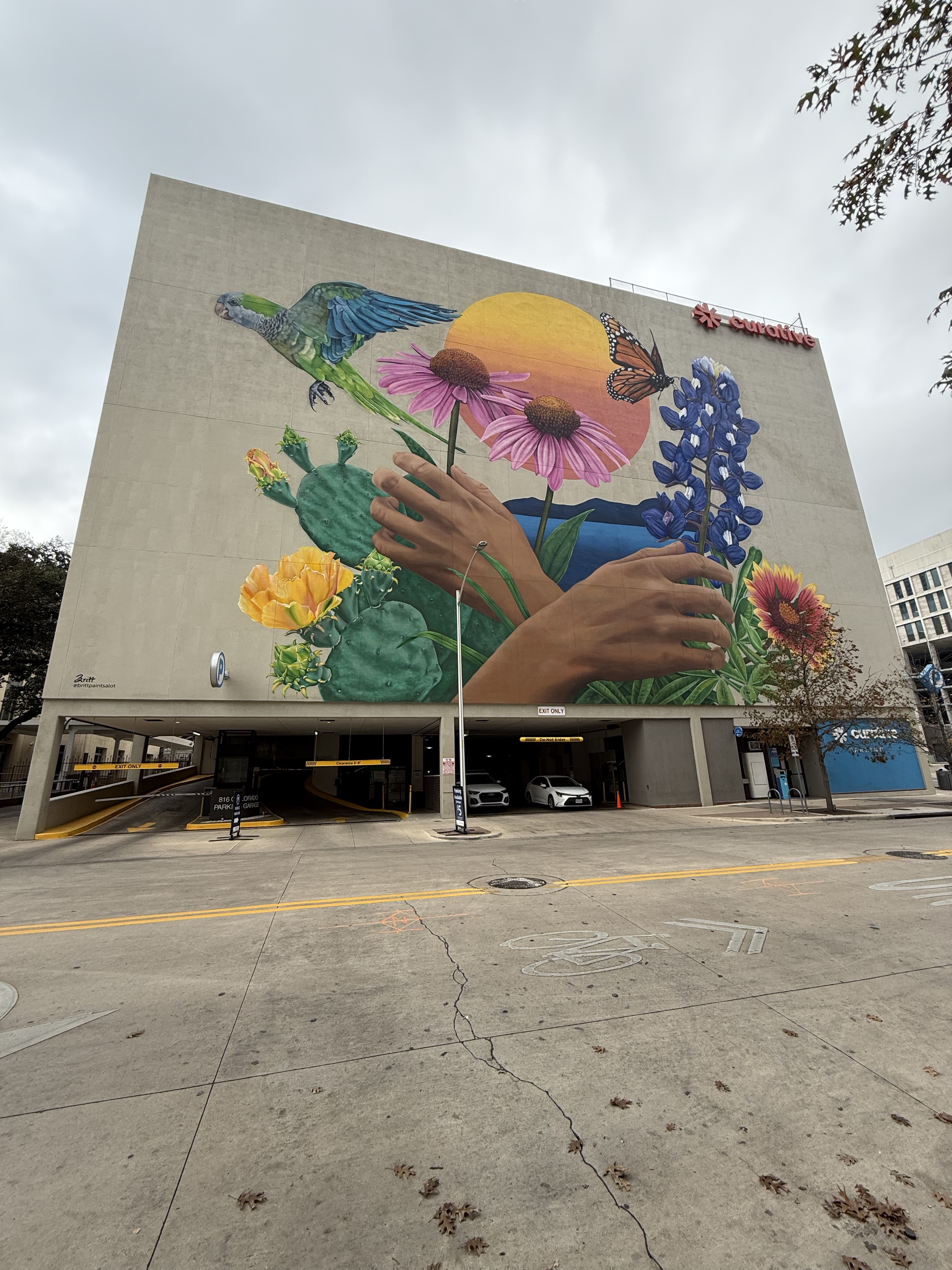 Murals in Austin | Street Art Map & Artists | FindMASA