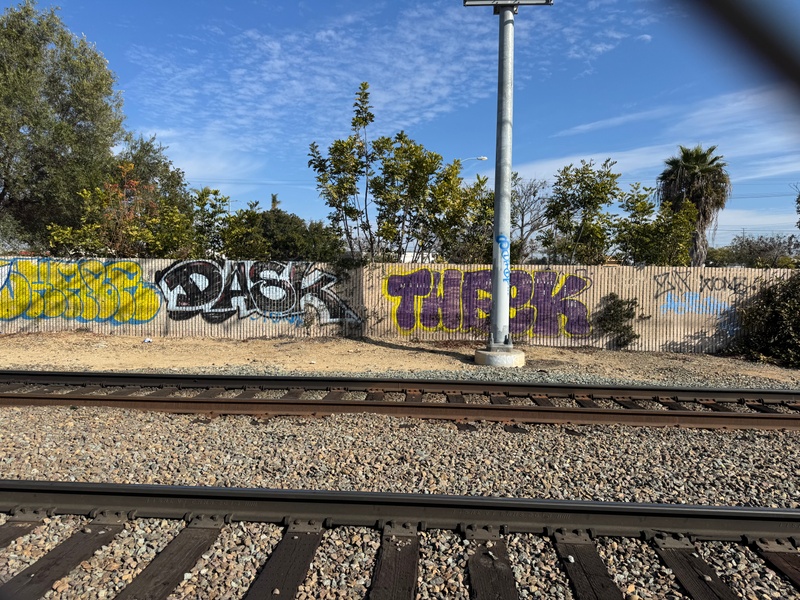 mural in San Diego by artist unknown.