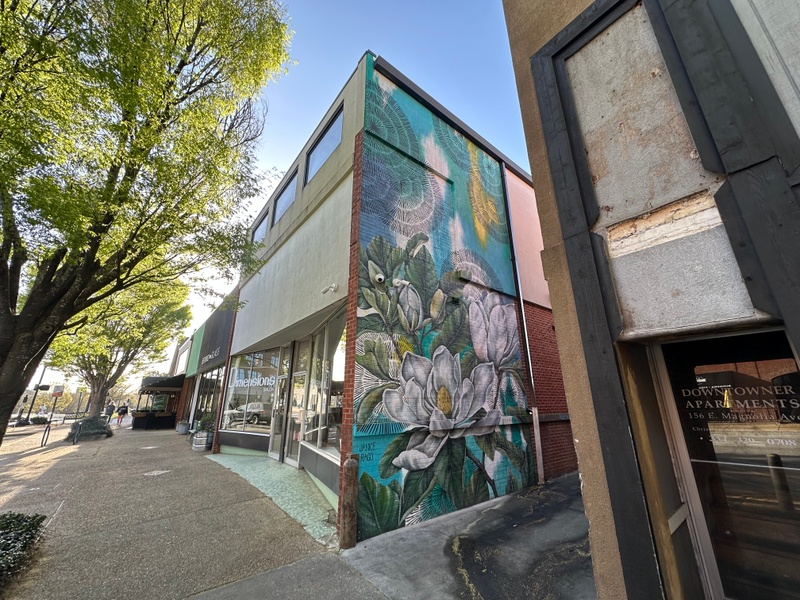 mural in Auburn by artist Janice Rago.