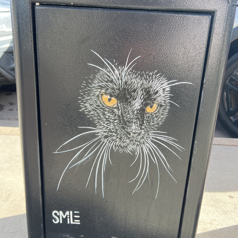 mural in Boulder by artist Smile.