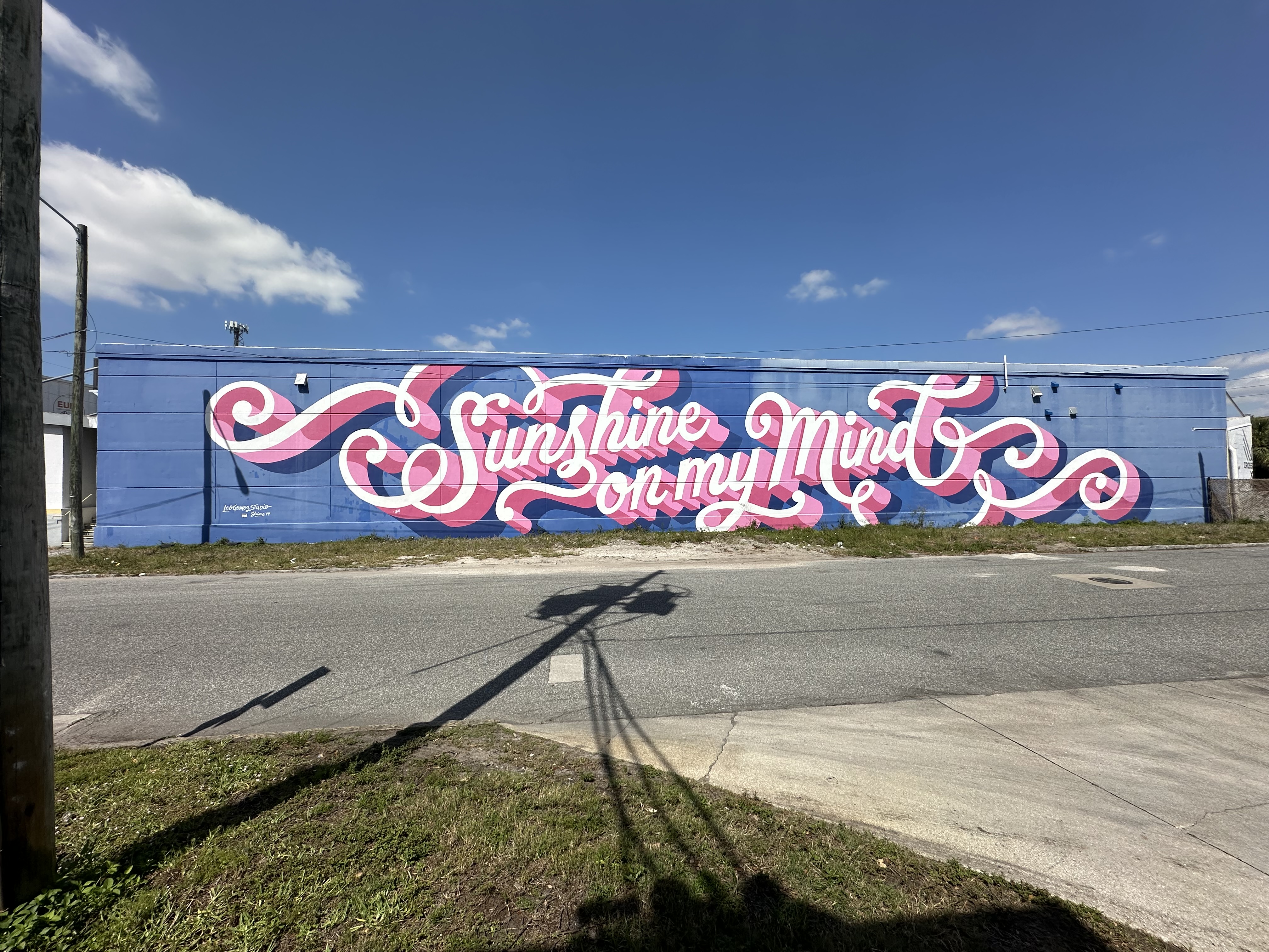 mural in St. Petersburg by artist Leo Gomez.