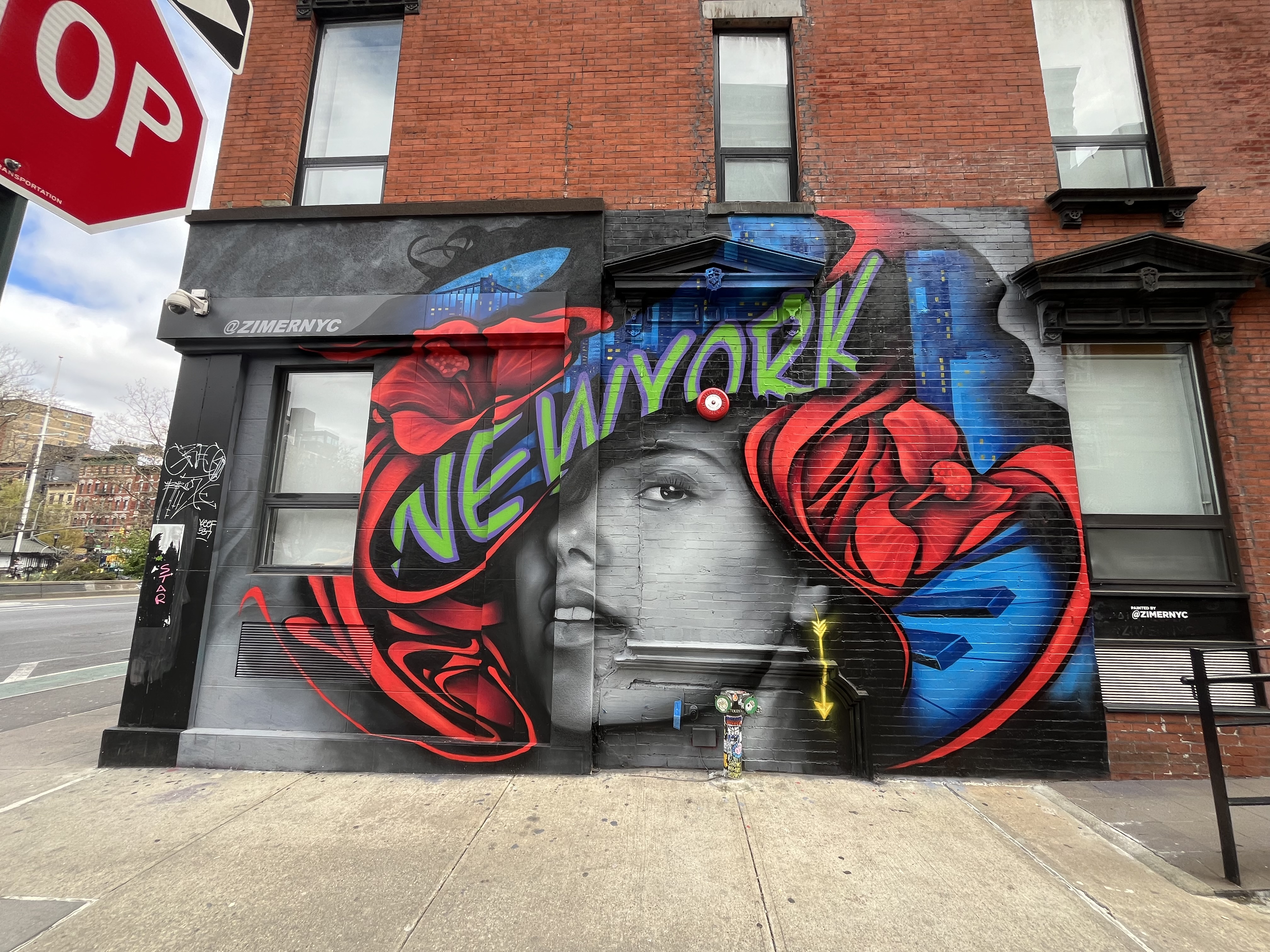 mural in New York by artist Zimer.