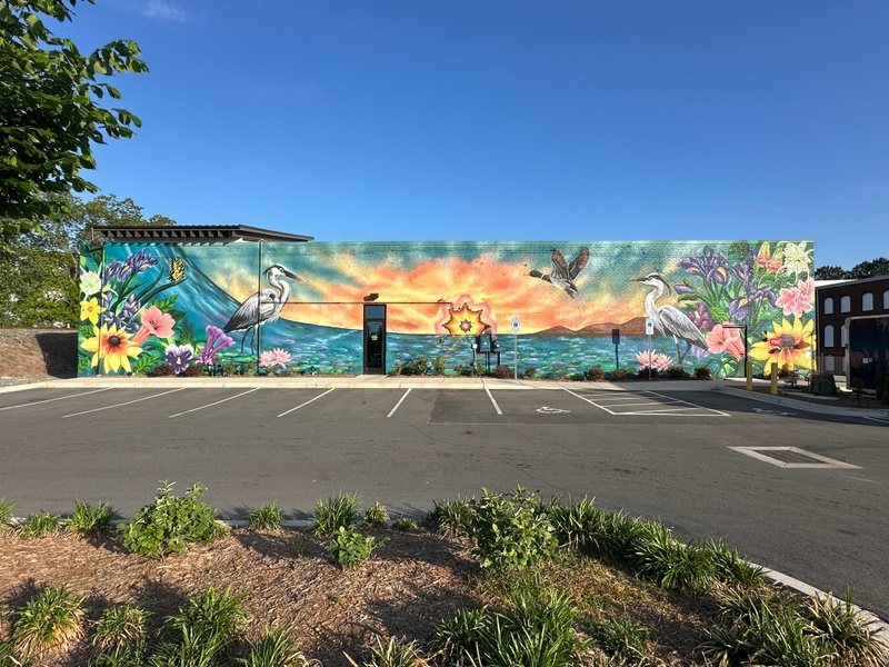 mural in Rock Hill by artist unknown.