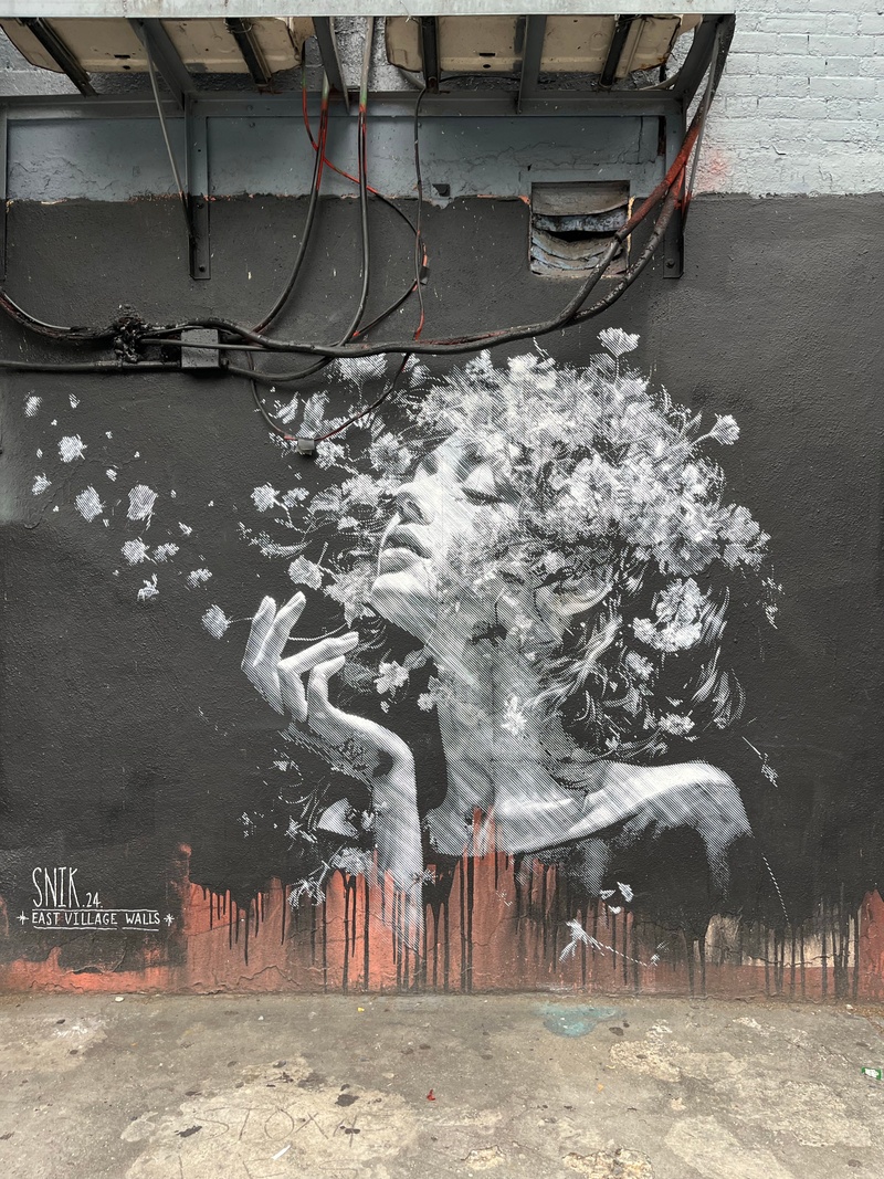 mural in New York by artist Snik.