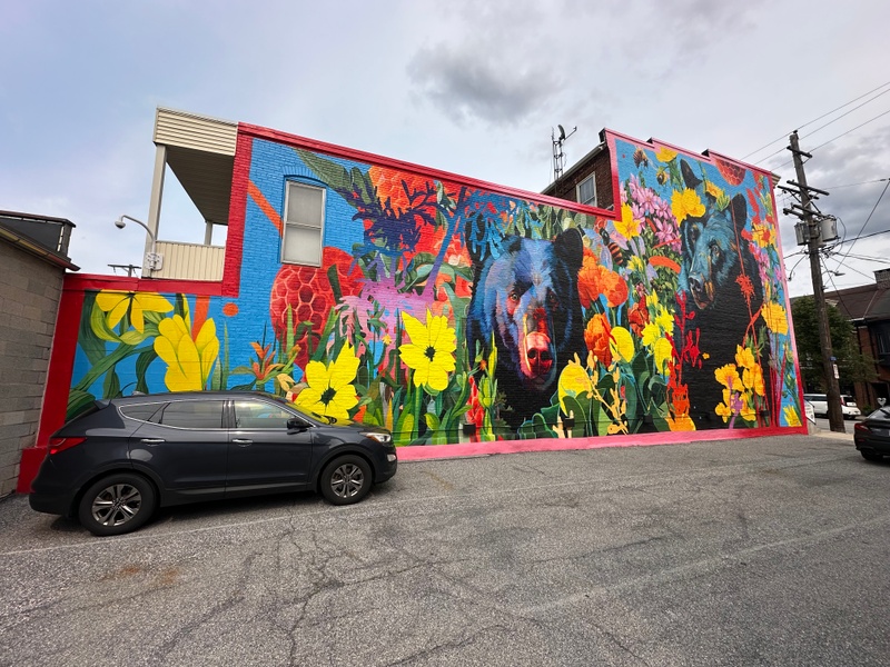 mural in York by artist TRATOS.