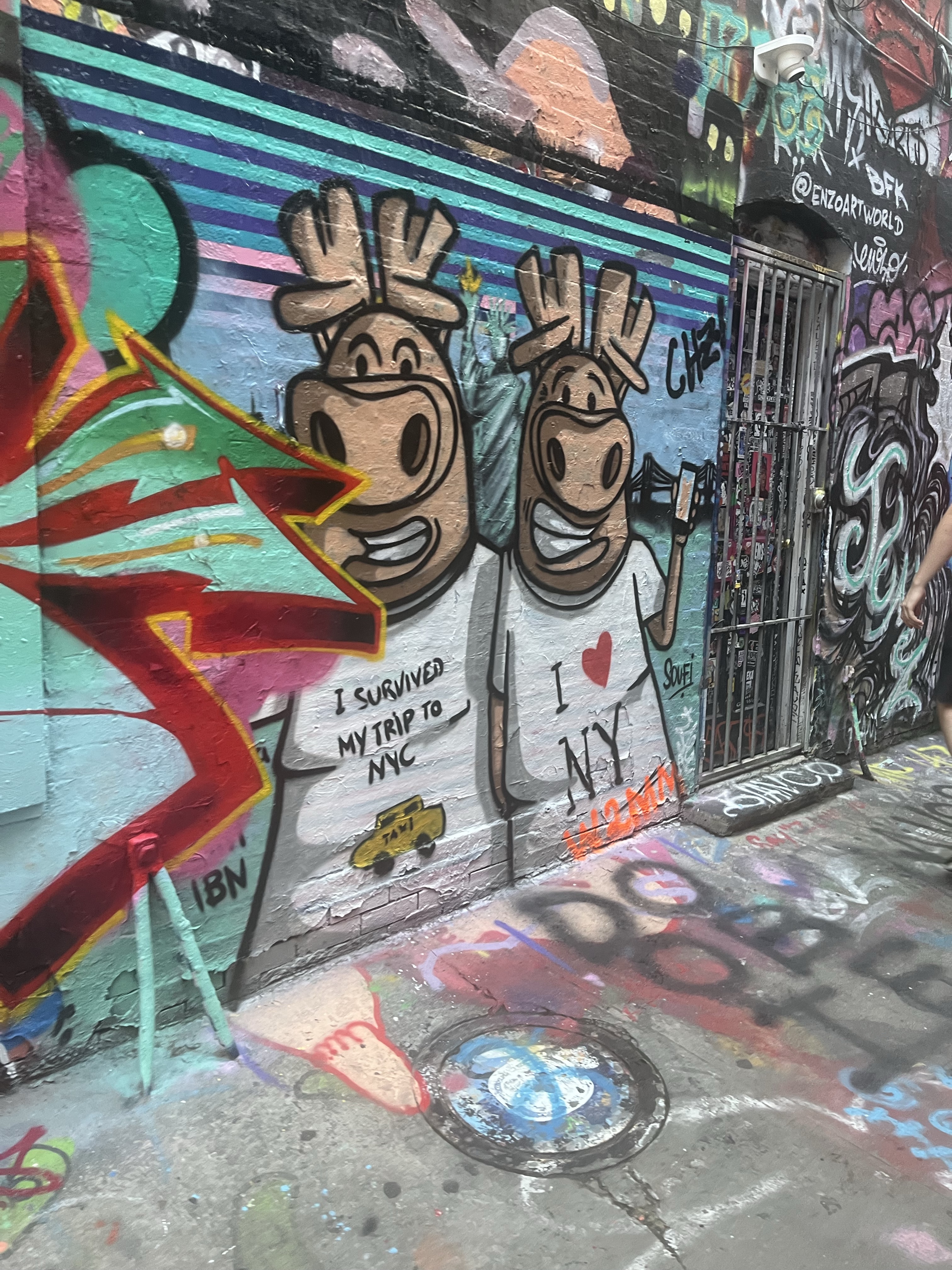 mural in New York by artist unknown.