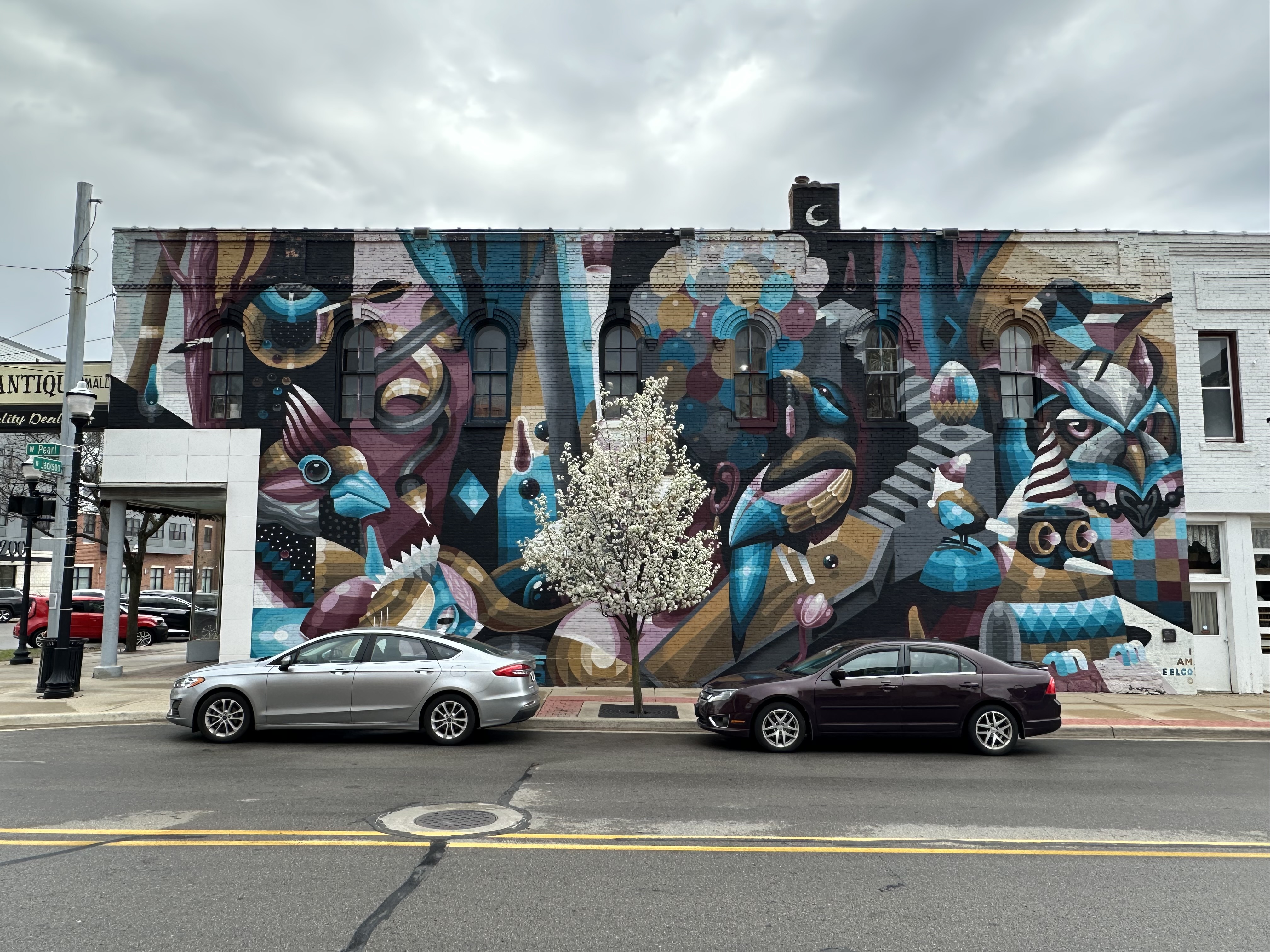 mural in Jackson by artist EELCO.