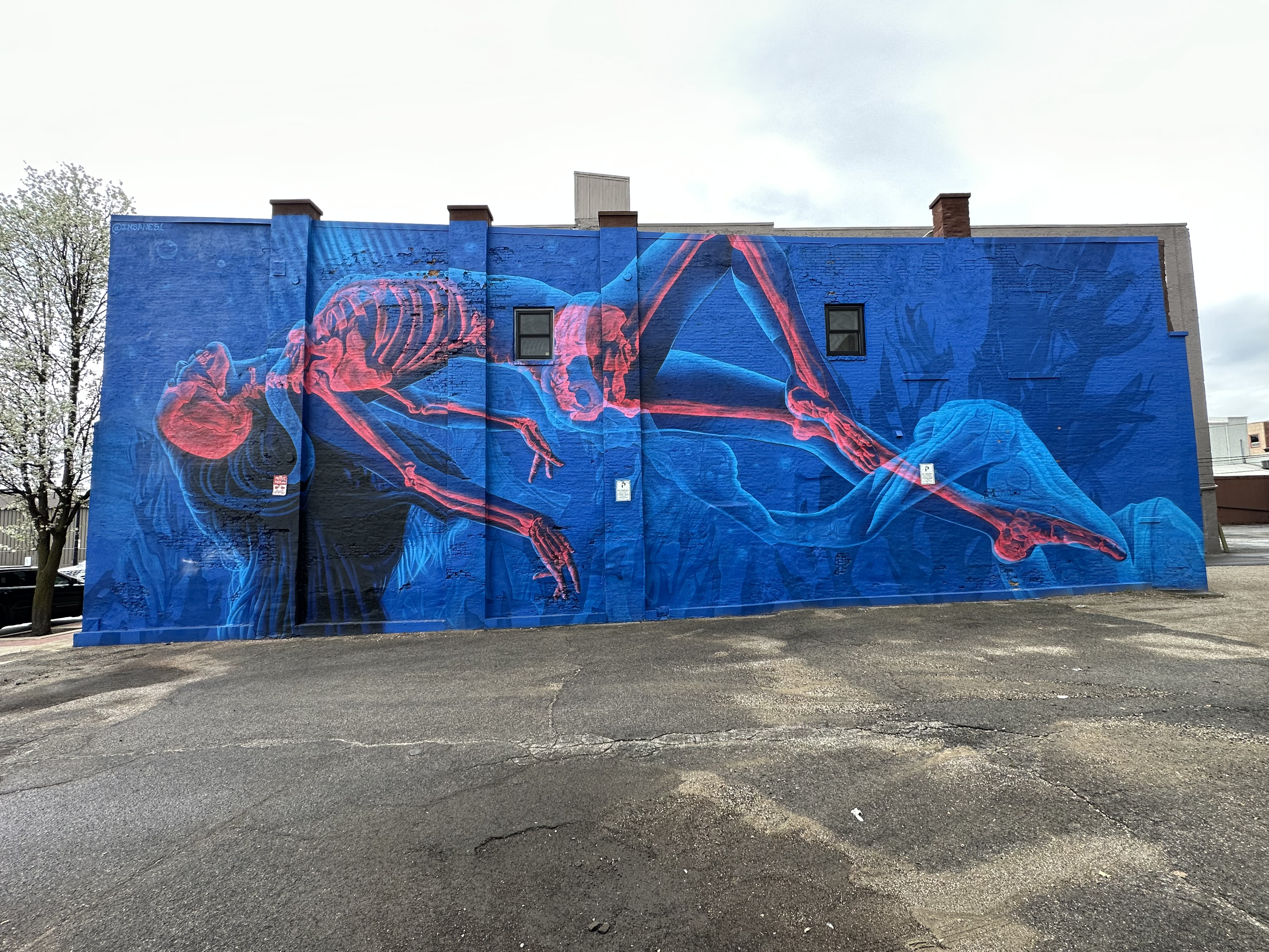 mural in Jackson by artist Insane 51.