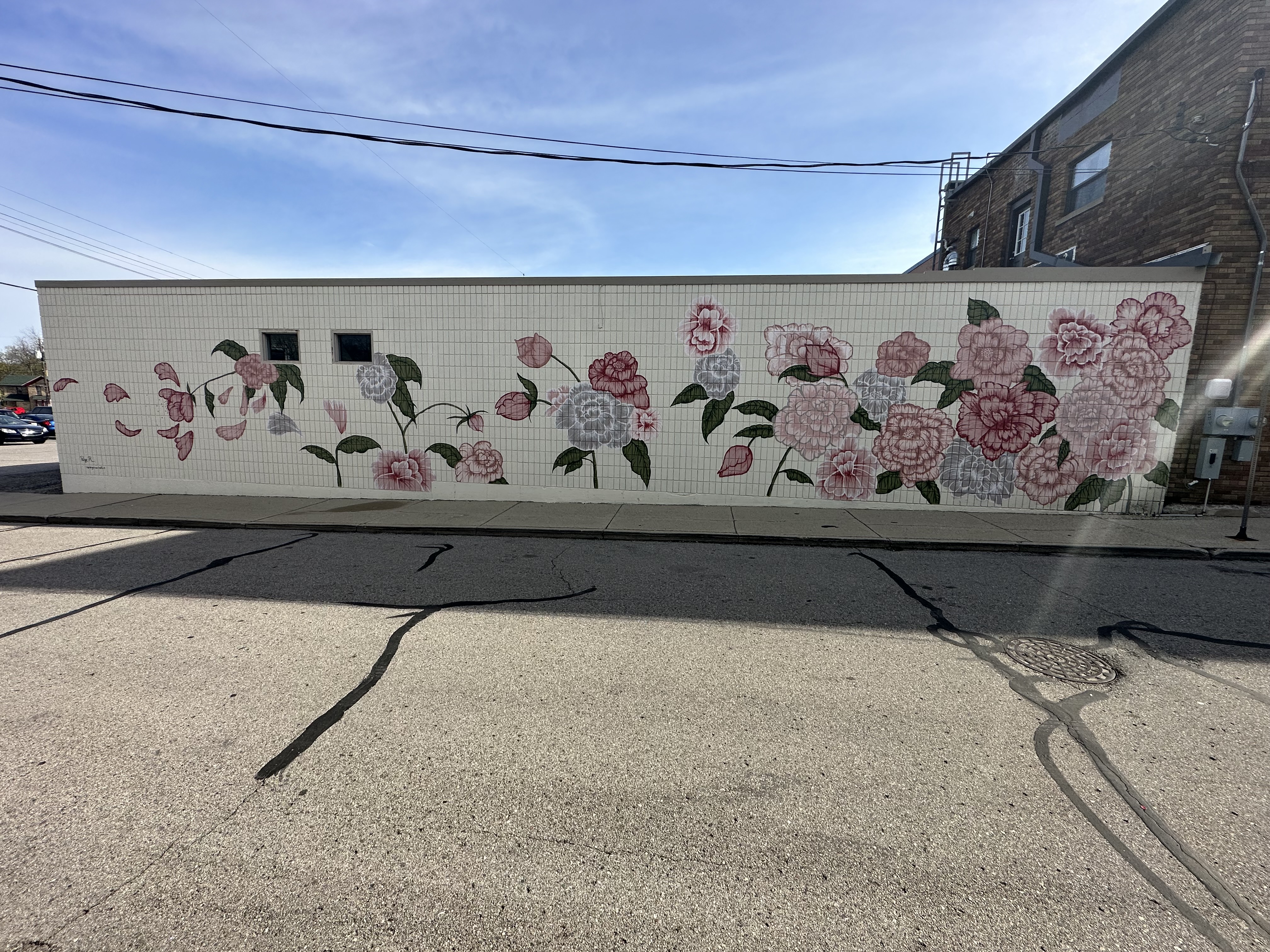 mural in Grand Rapids by artist unknown.