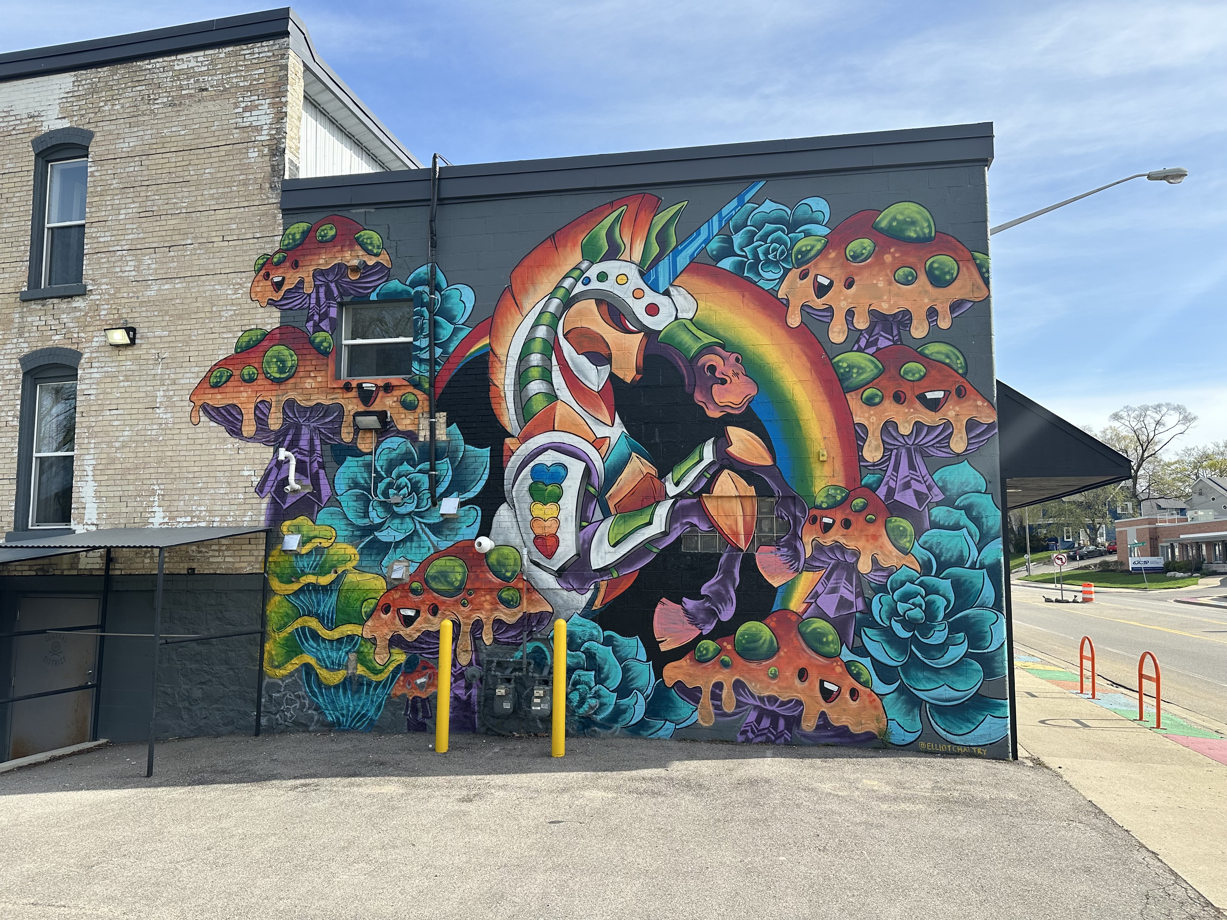 mural in Grand Rapids by artist Elliot Chaltry.