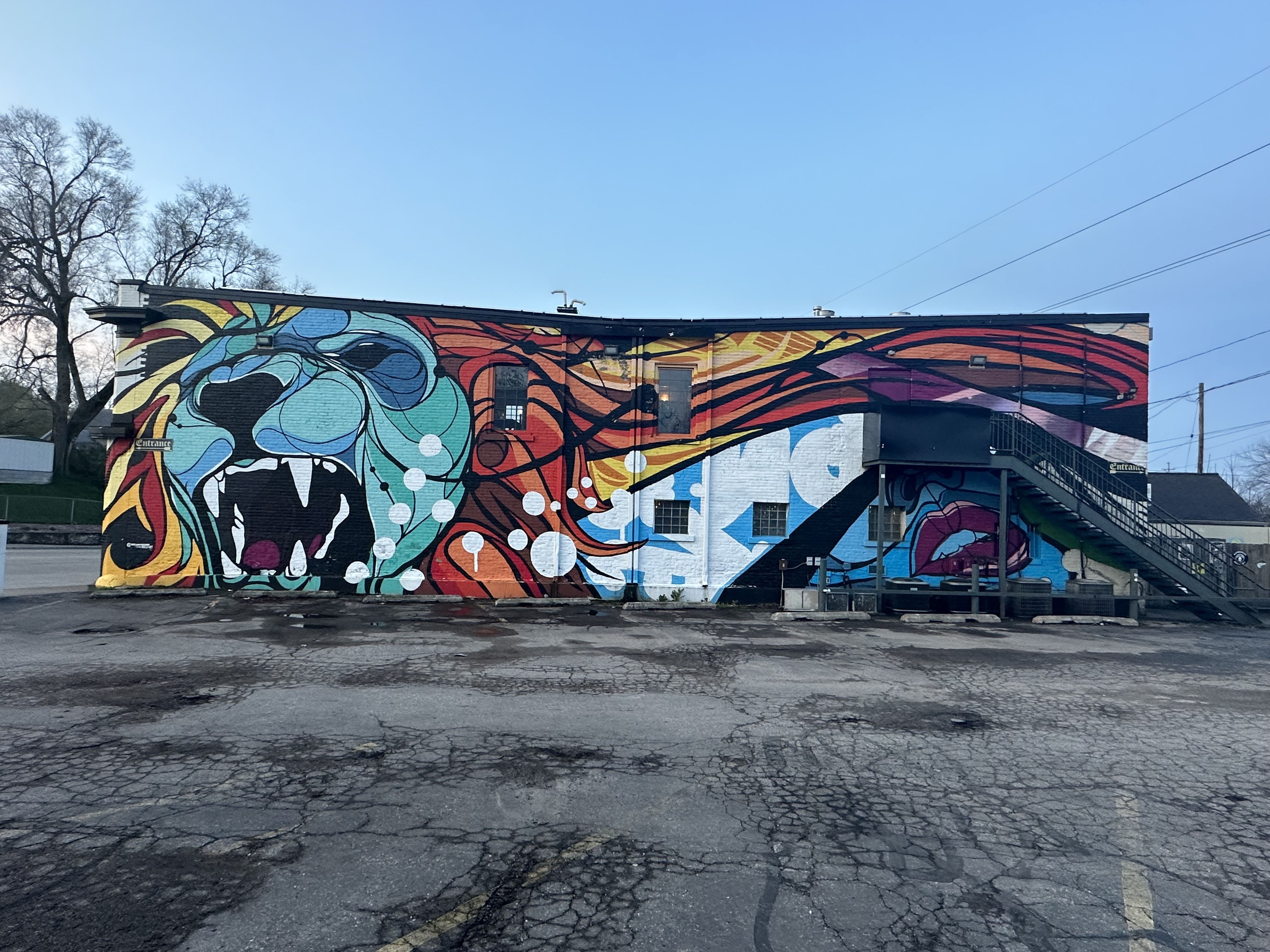 mural in Grand Rapids by artist Kyle DeGroff.