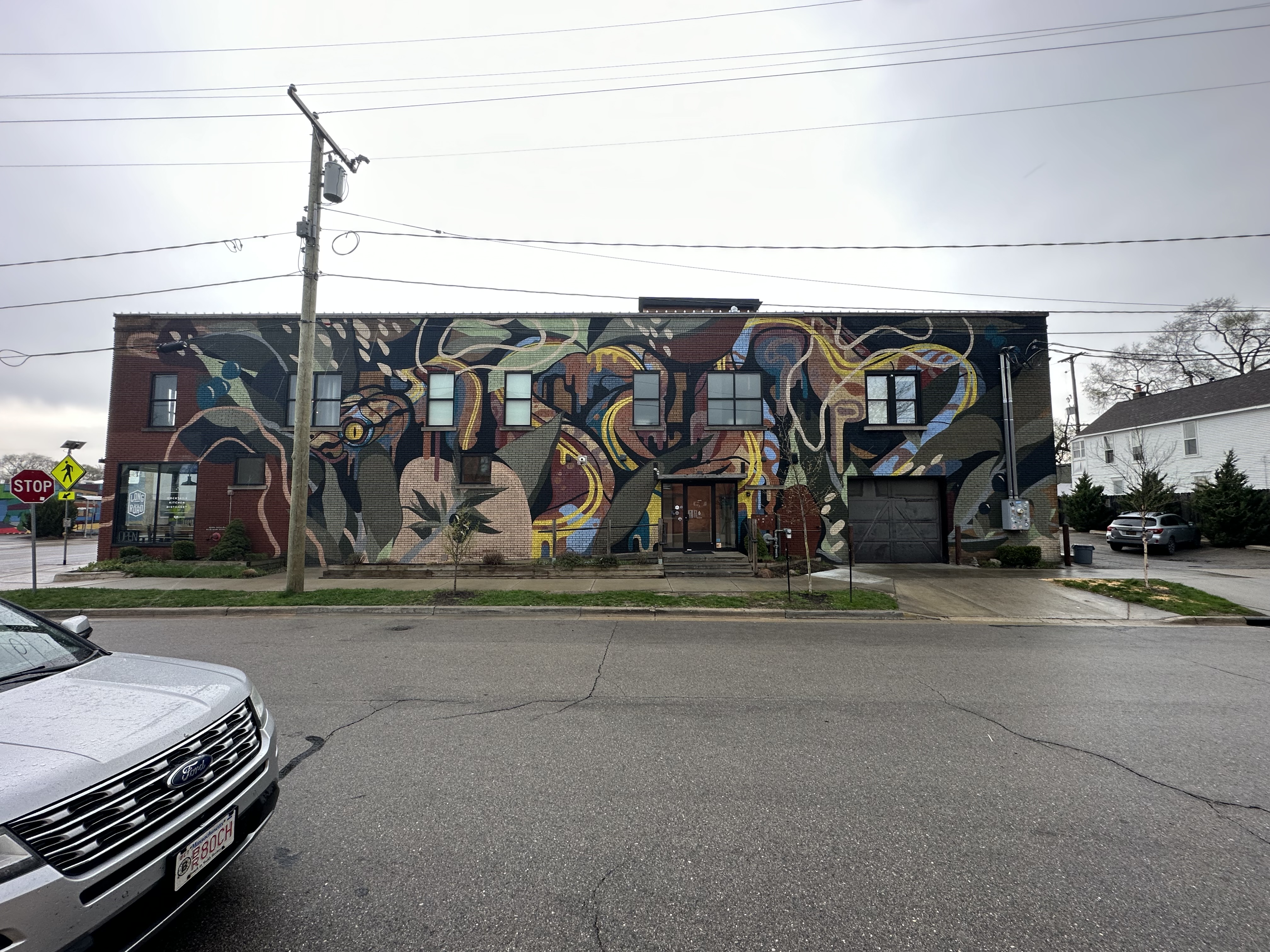 mural in Grand Rapids by artist Kyle DeGroff.