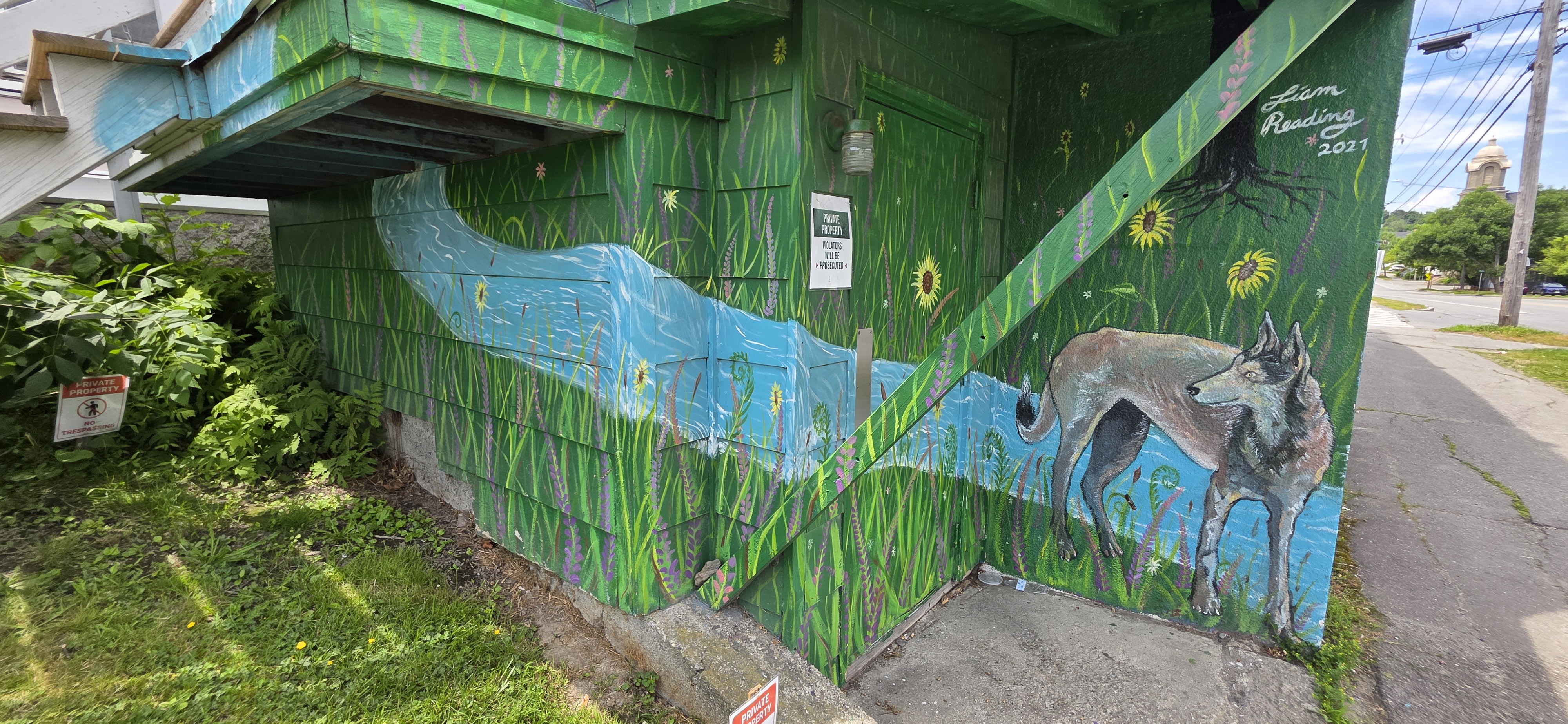 mural in Bangor by artist Liam Reading.