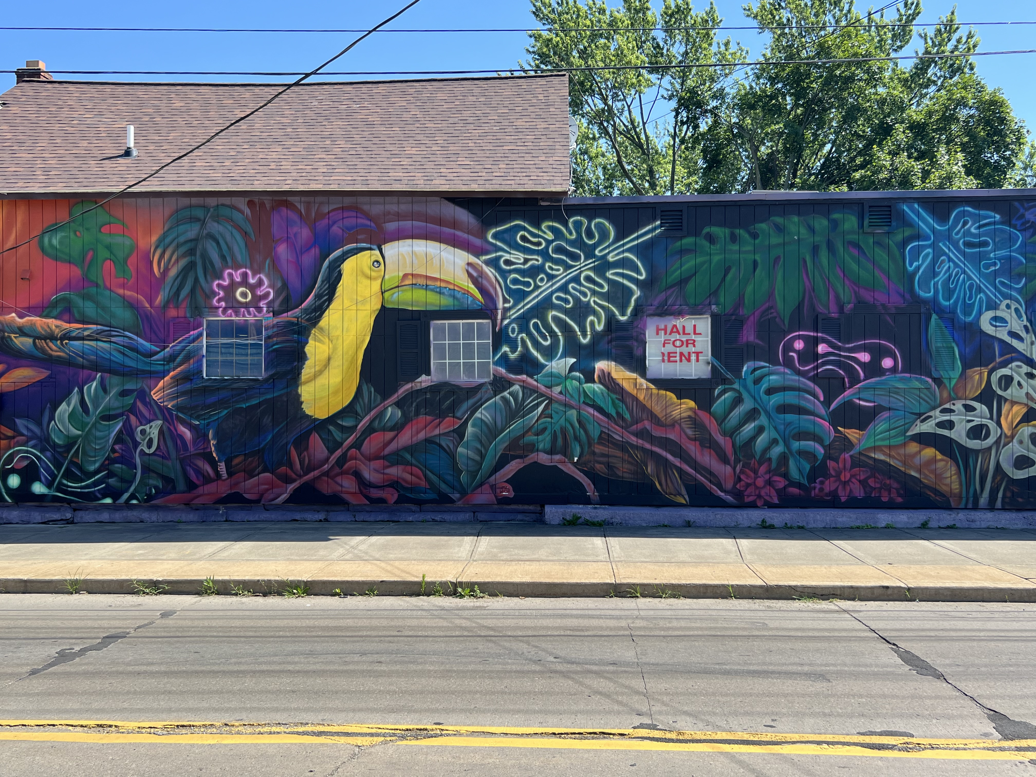 mural in Cleveland by artist BlackBrain.