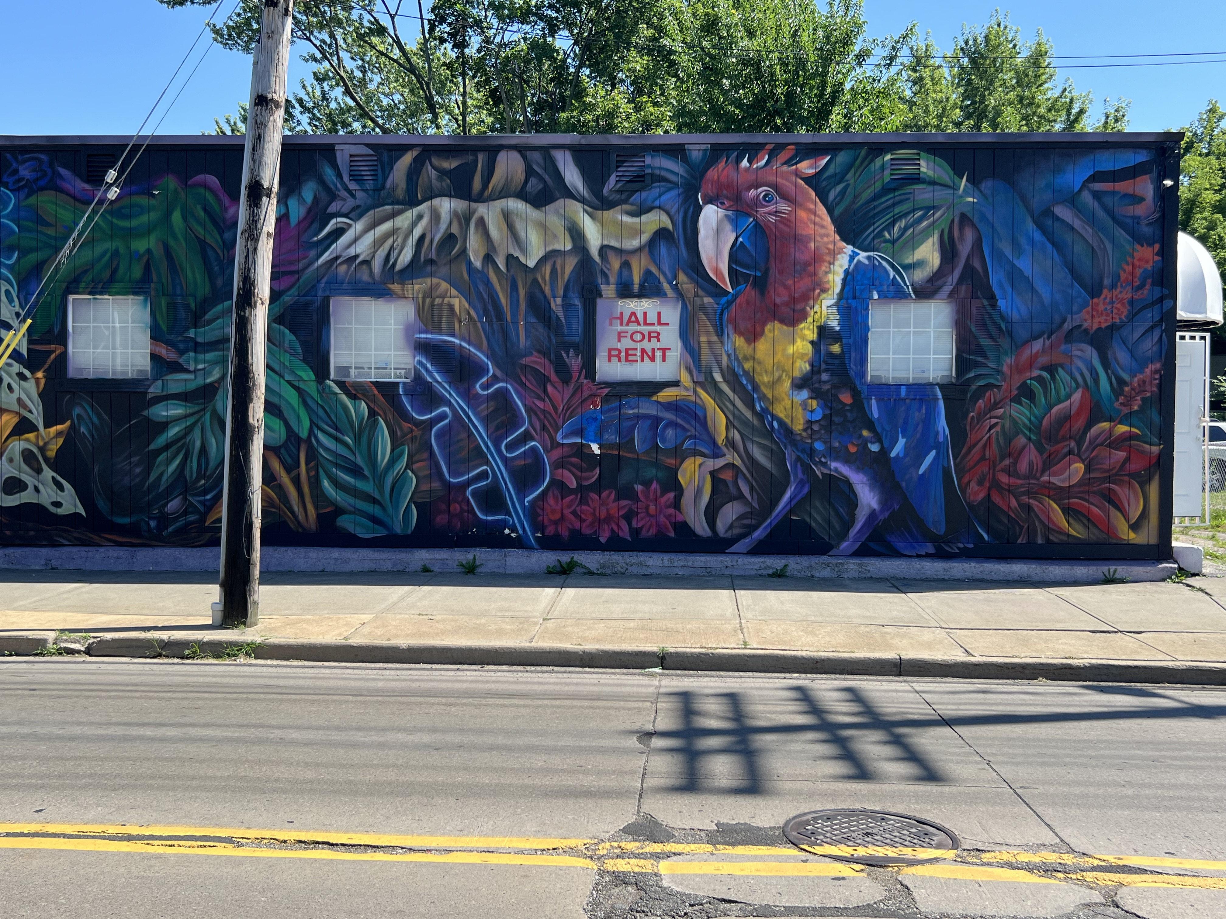 mural in Cleveland by artist BlackBrain.