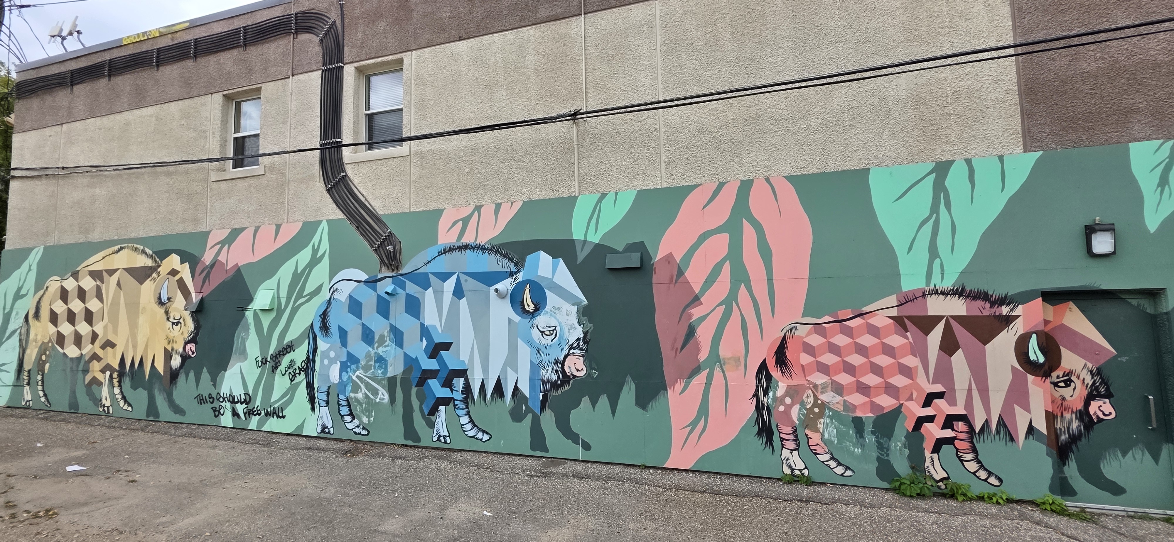 mural in Brandon by artist unknown.