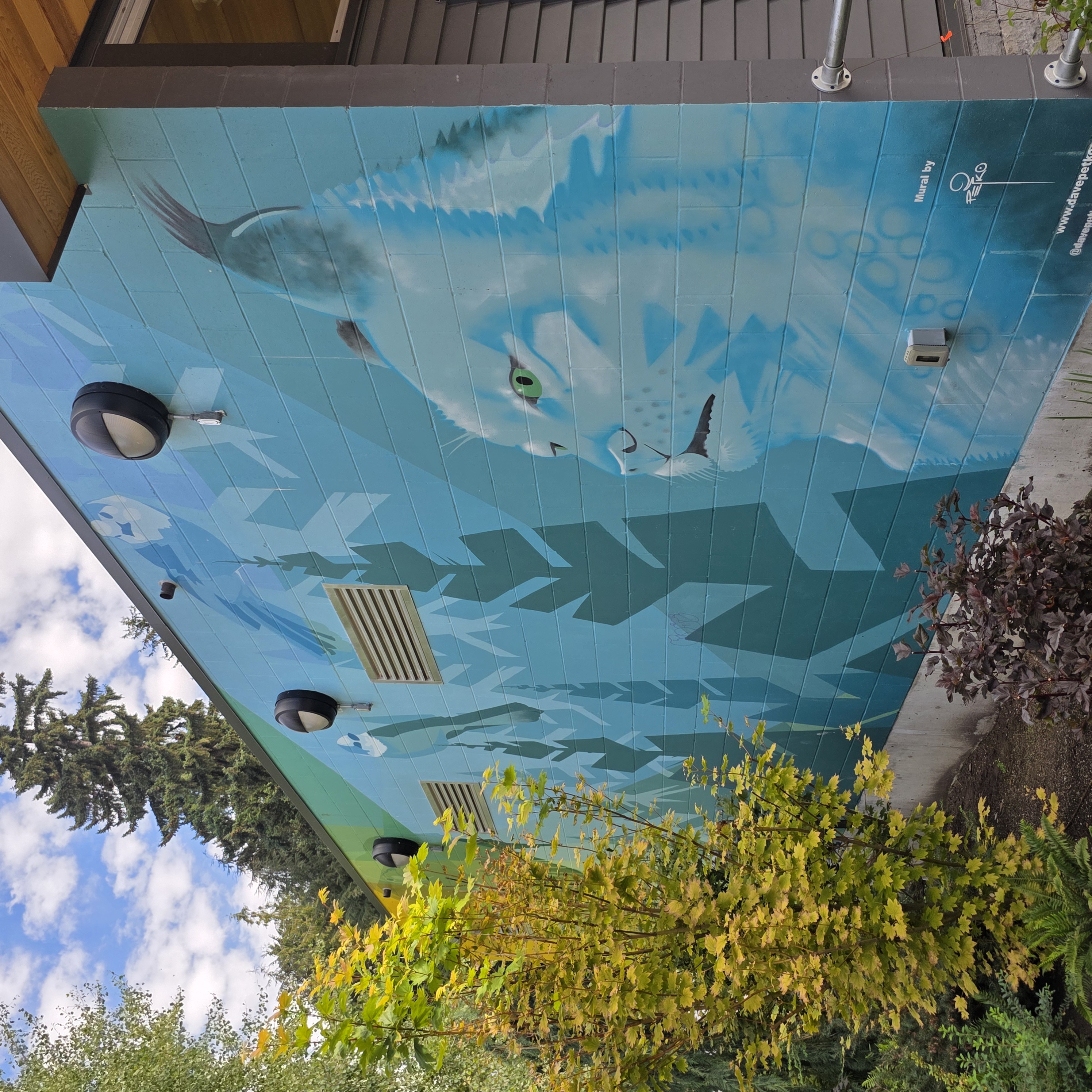 mural in Whistler by artist unknown.