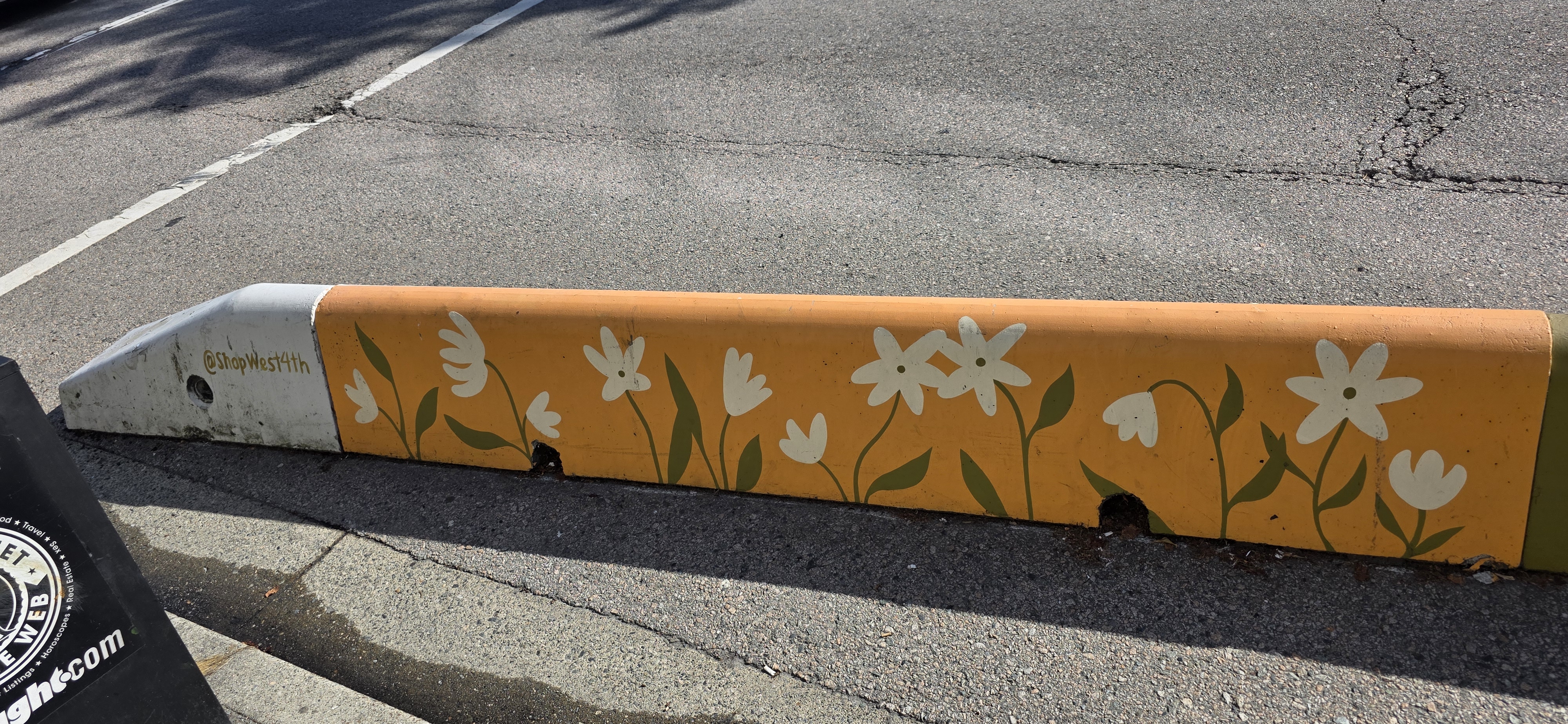 mural in Vancouver by artist Lisa Taniguchi.