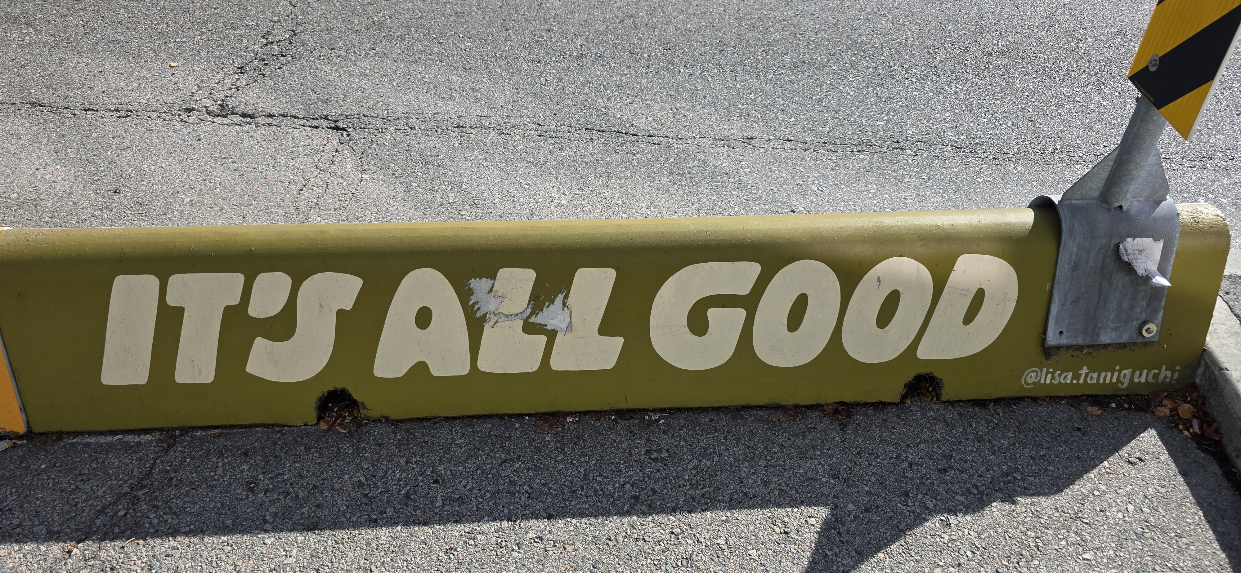 mural in Vancouver by artist Lisa Taniguchi.