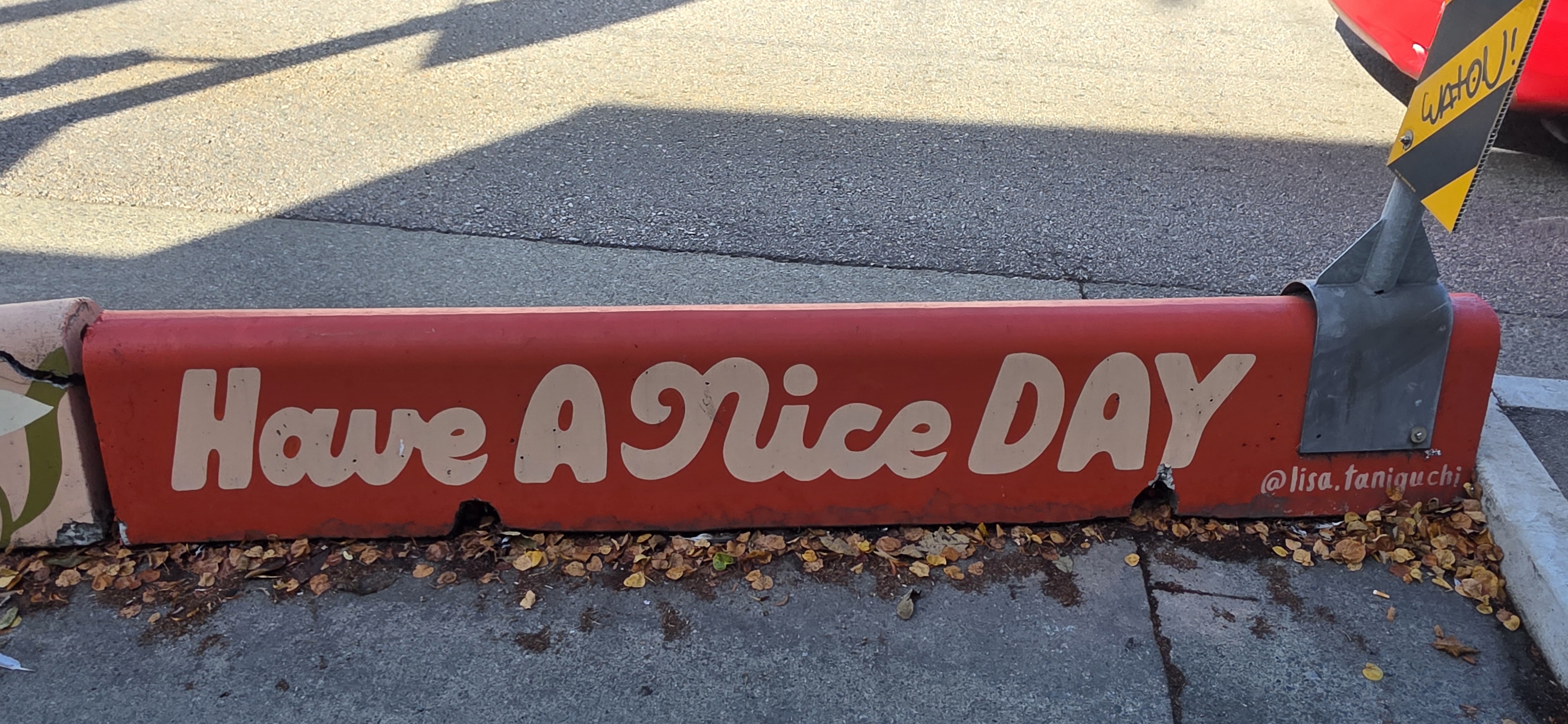 mural in Vancouver by artist Lisa Taniguchi.