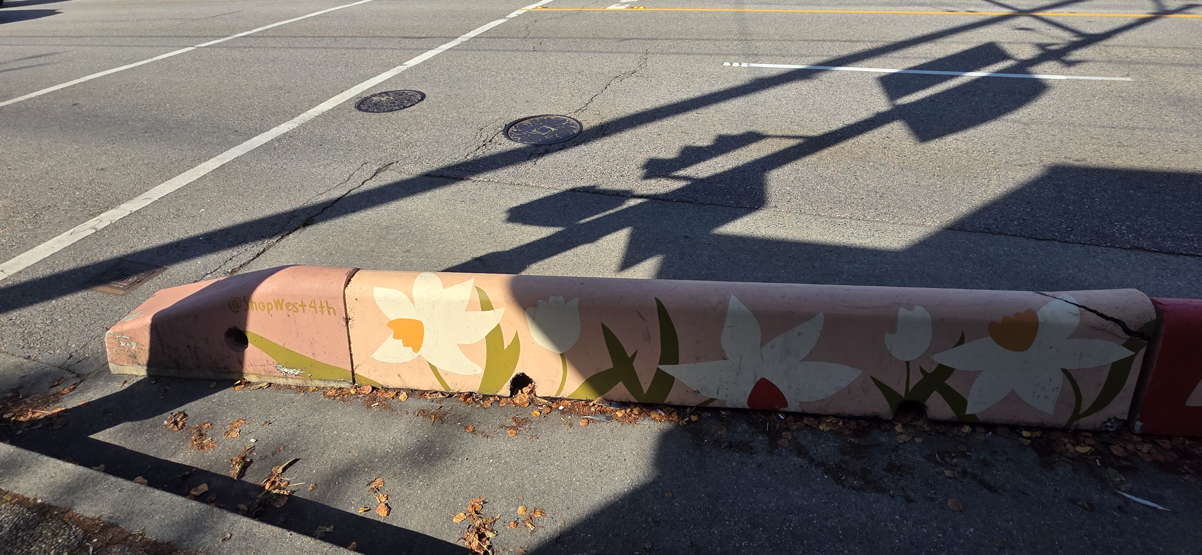 mural in Vancouver by artist Lisa Taniguchi.