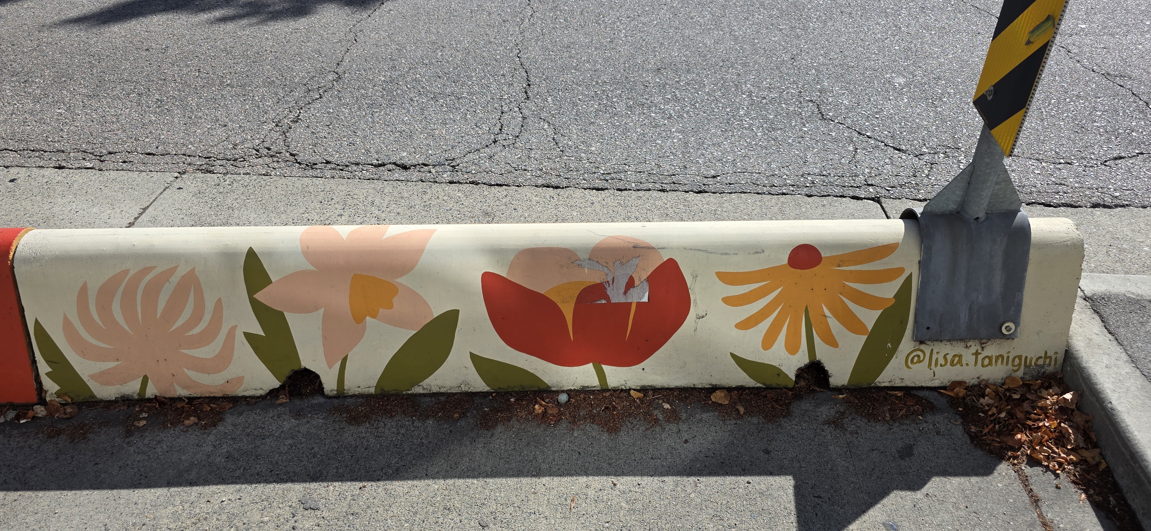 mural in Vancouver by artist Lisa Taniguchi.