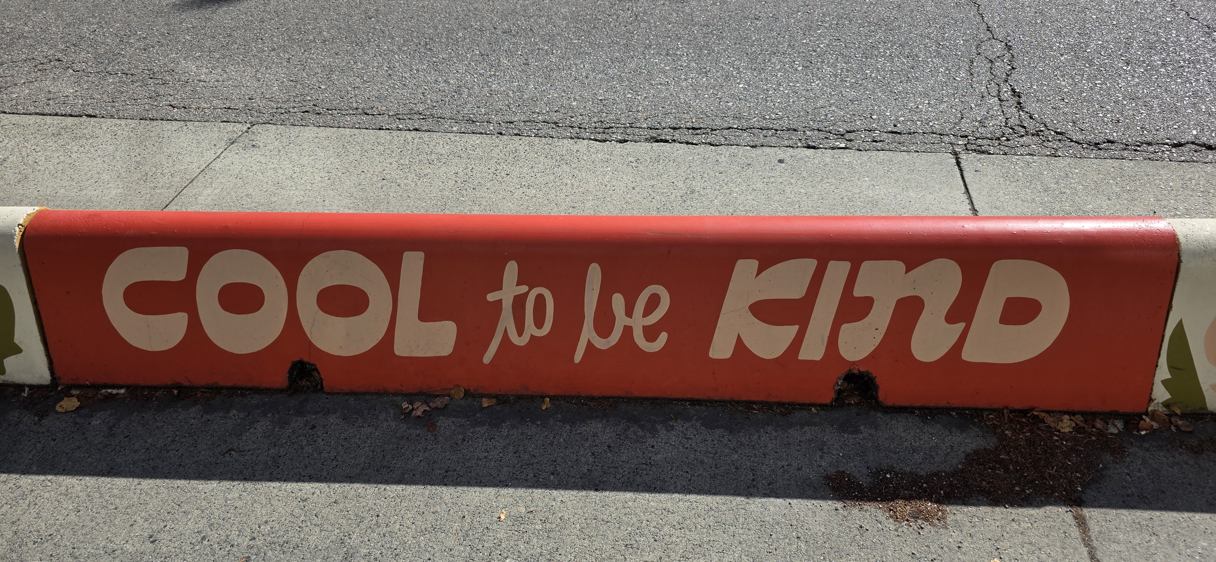 mural in Vancouver by artist Lisa Taniguchi.