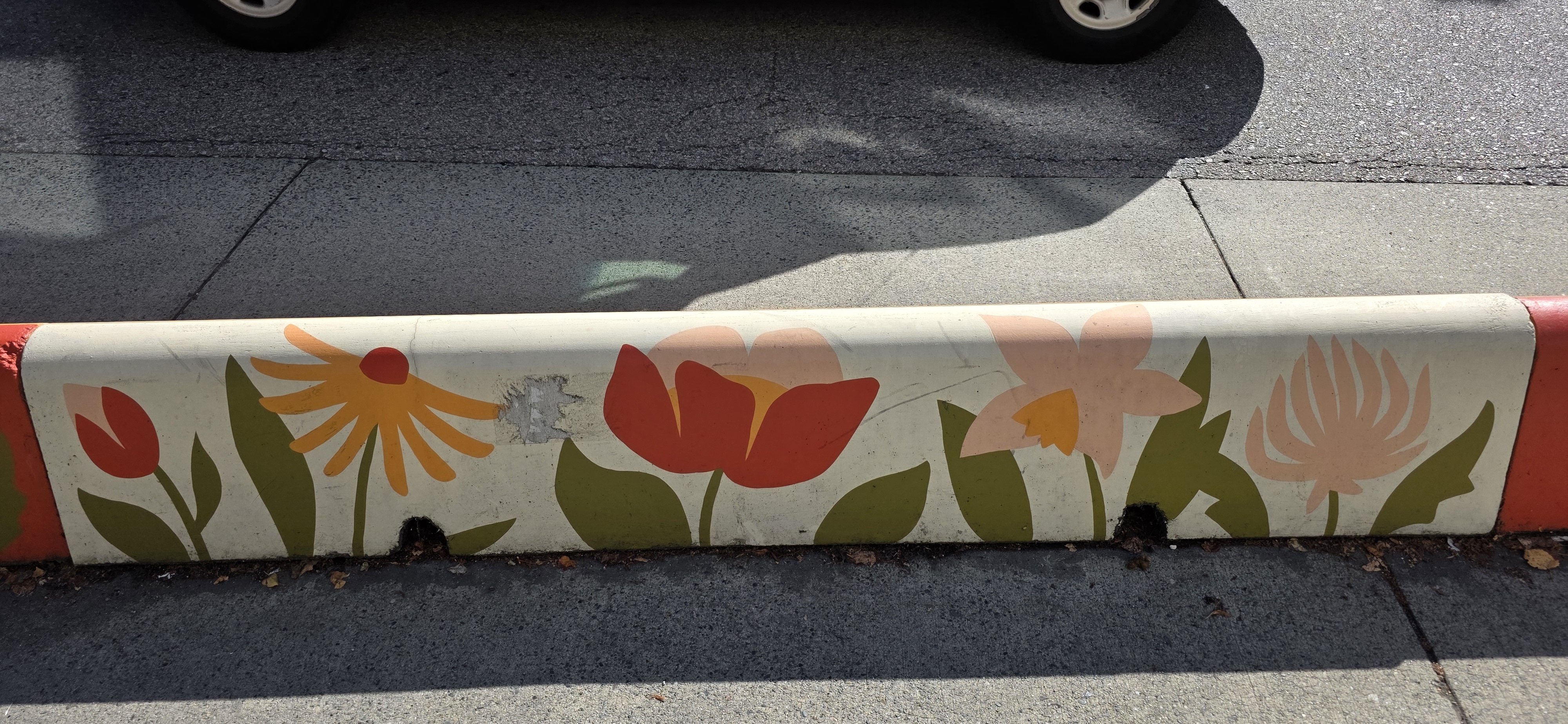 mural in Vancouver by artist Lisa Taniguchi.