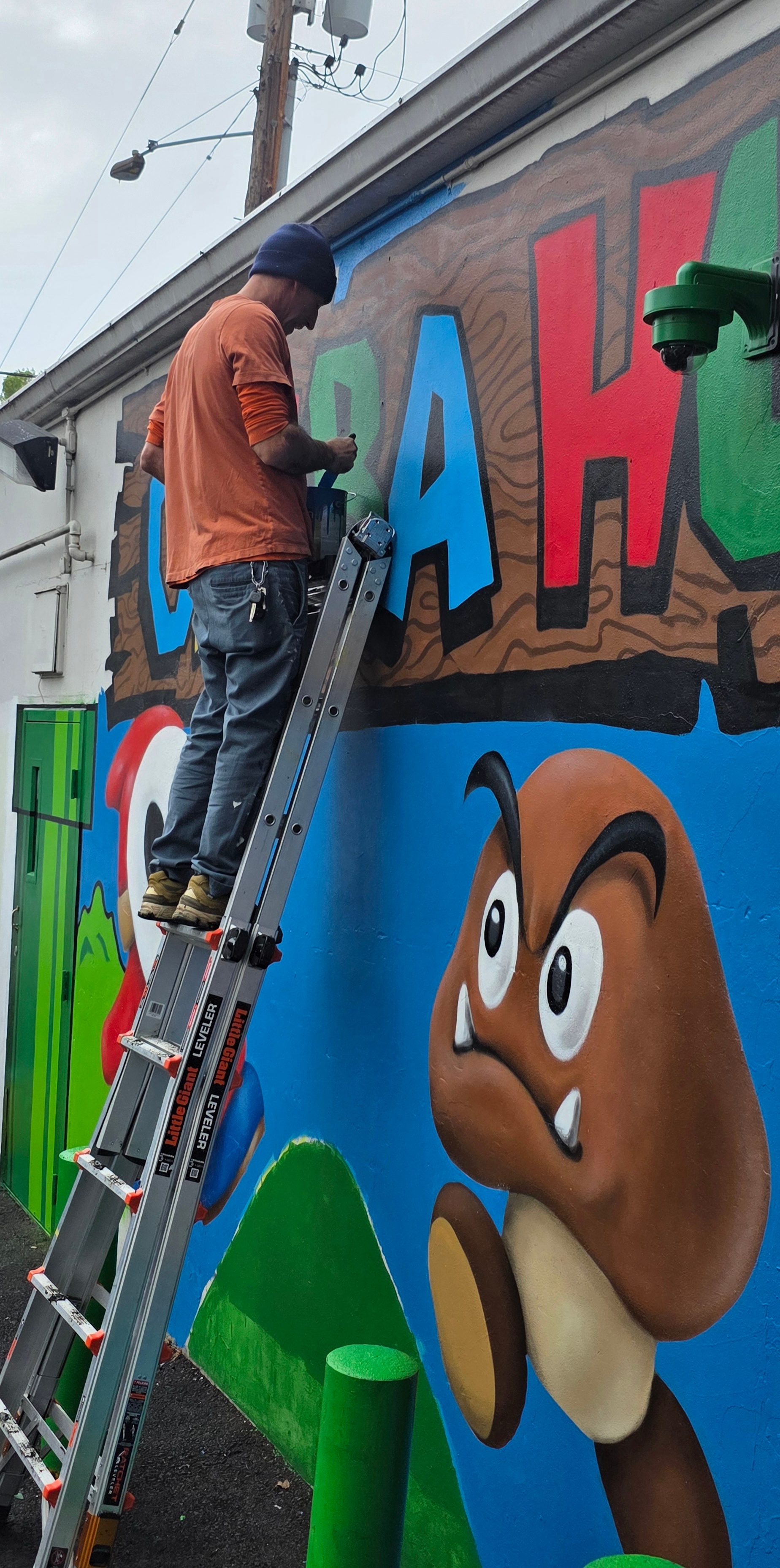 mural in Eugene by artist Bayne Gardner.