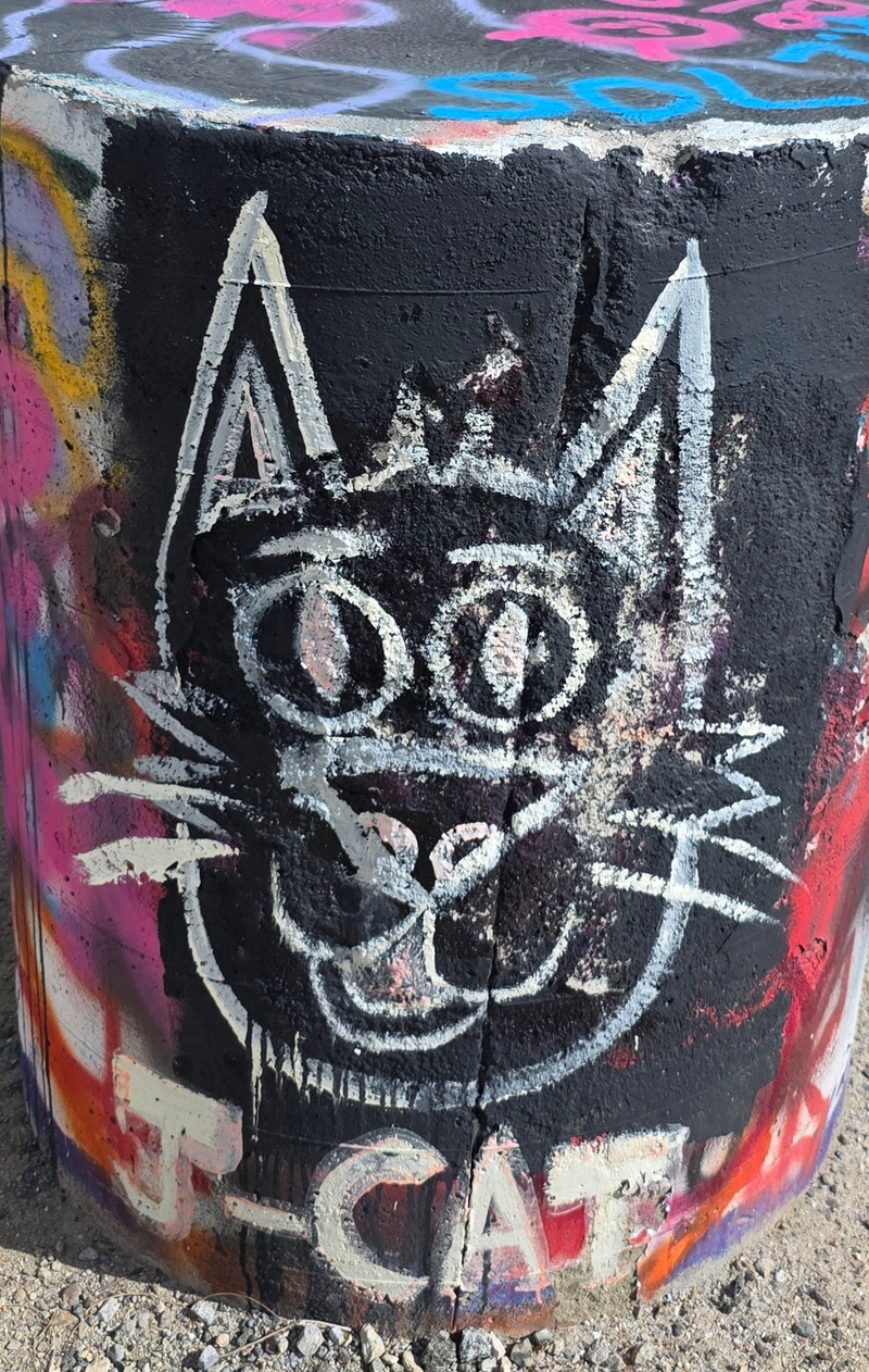 mural in Palm Springs by artist unknown.